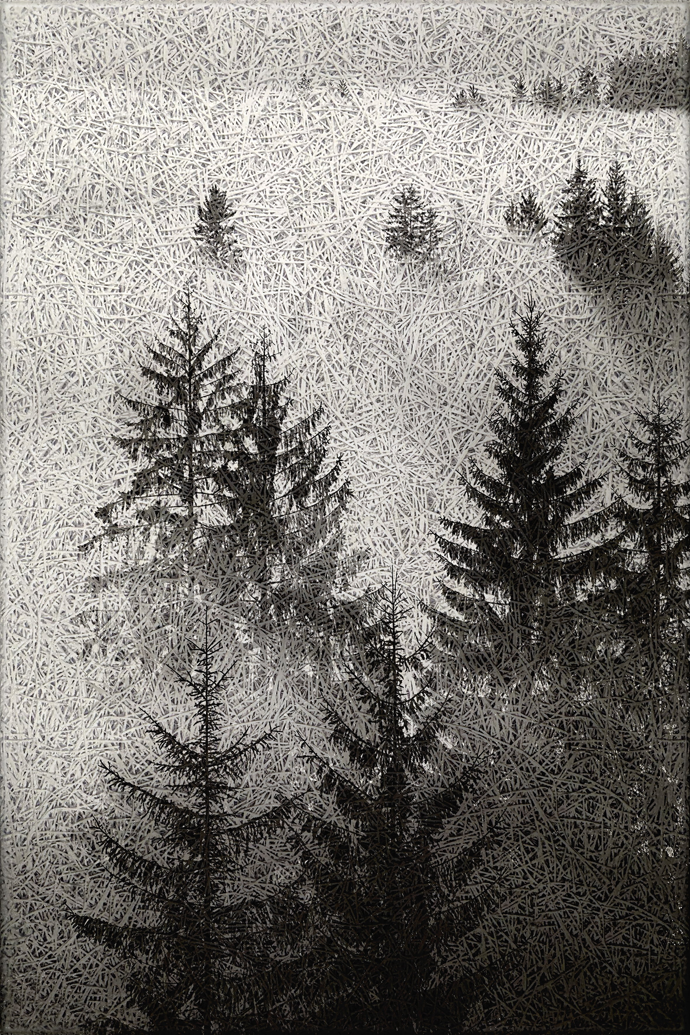Monochrome Forest Art Print