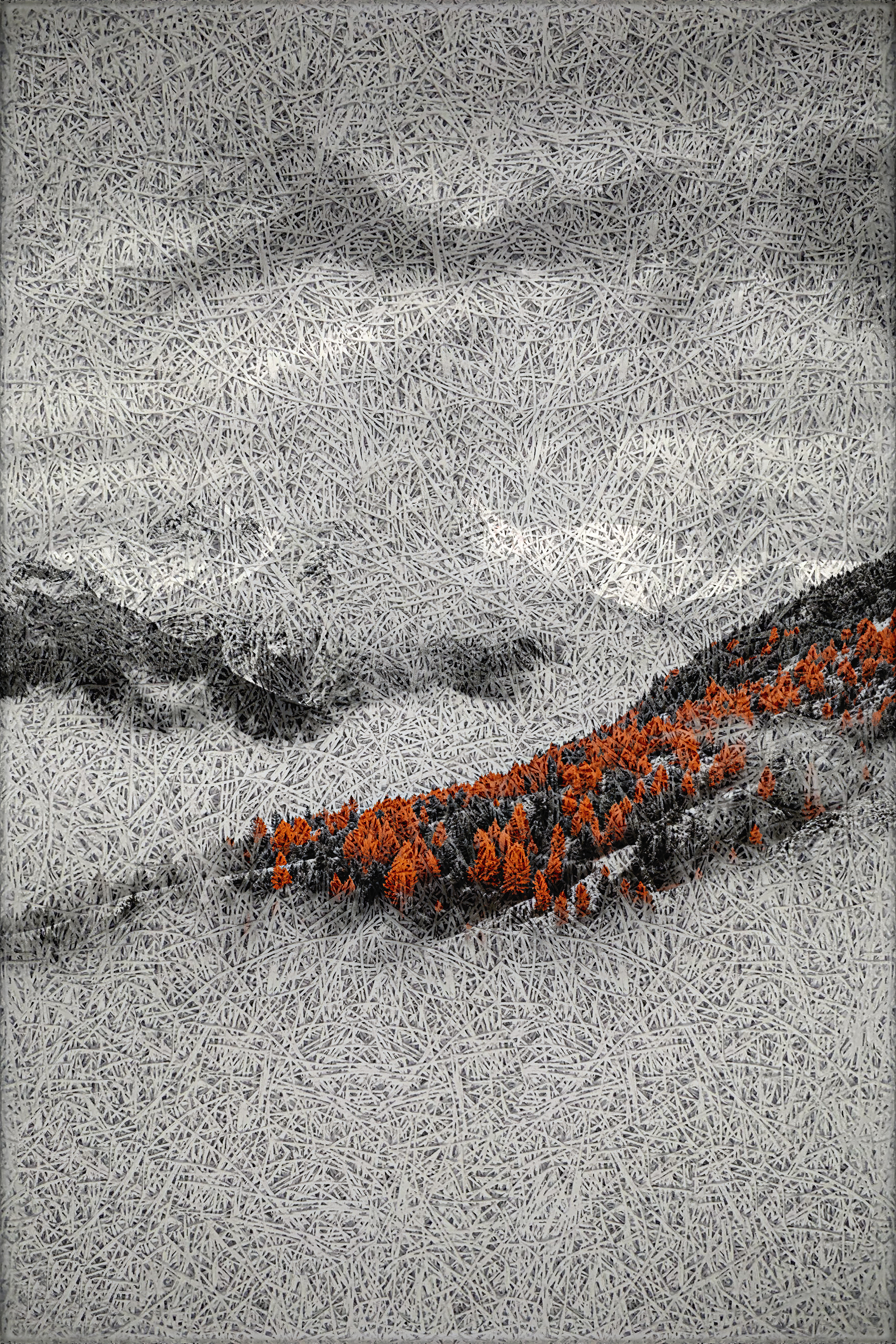 Ember Forest Landscape