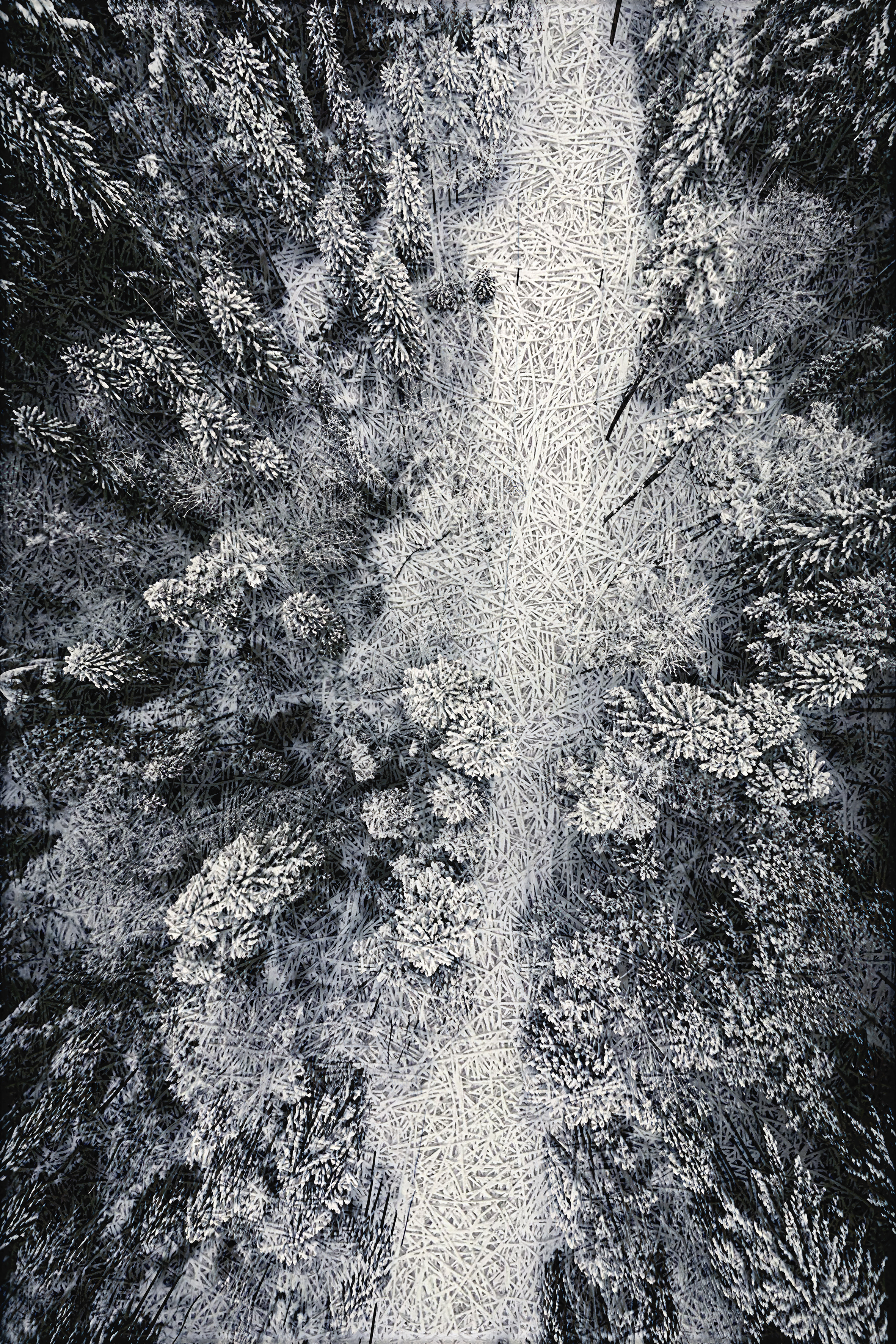 Aerial Winter Forest Acoustic Wall Panel