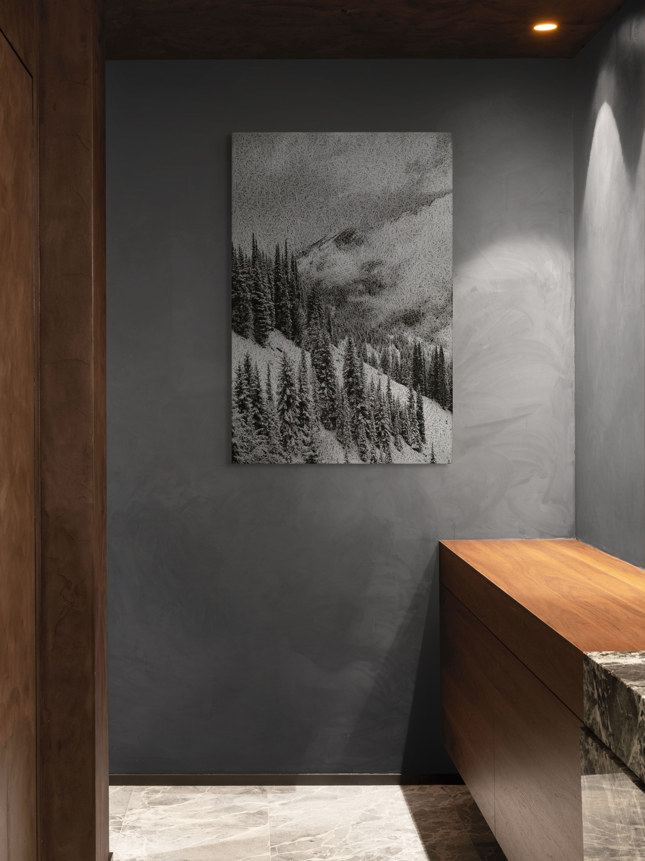 Pine Forest Mountain