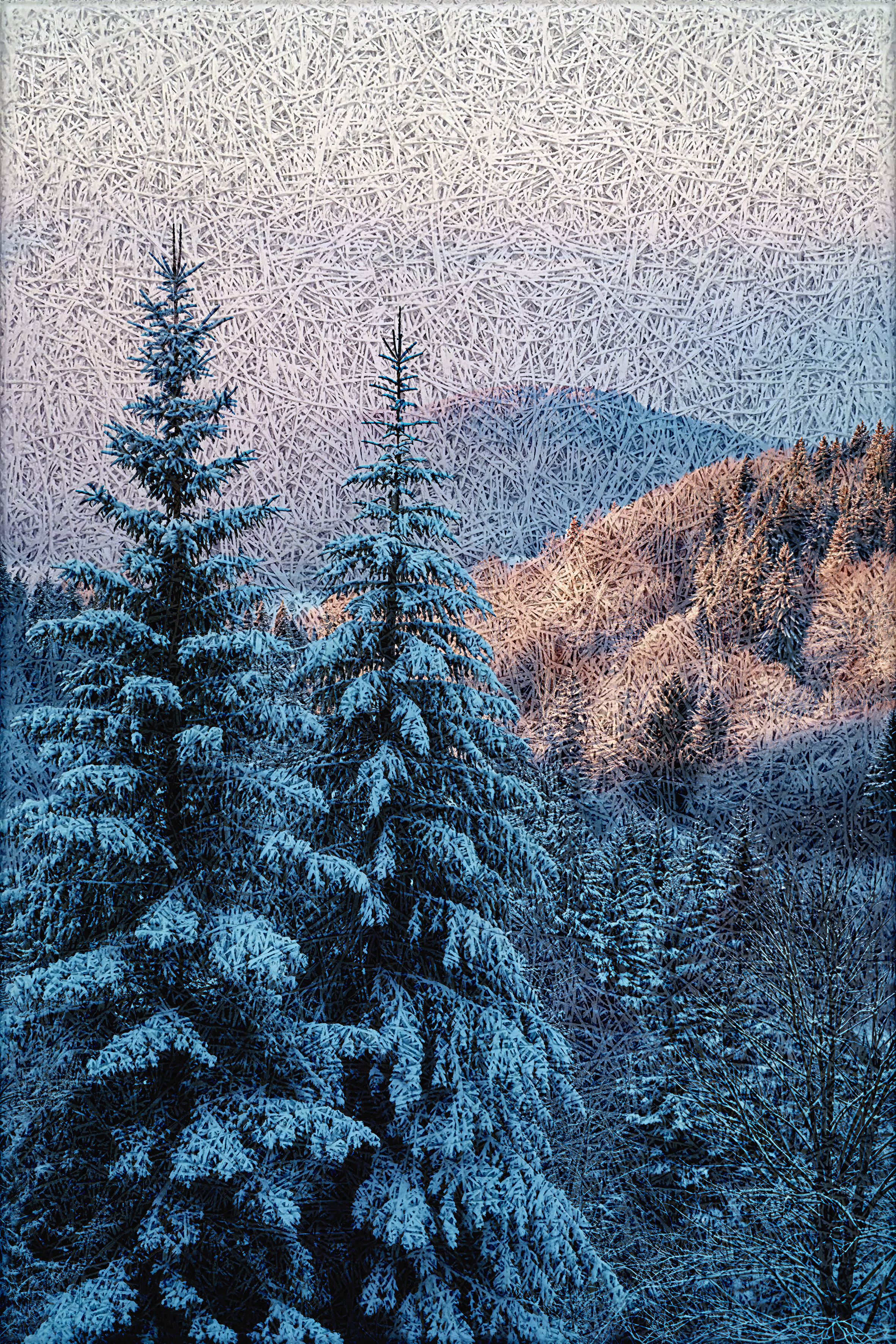 Sunset Winter Forest Acoustic Wall Panel