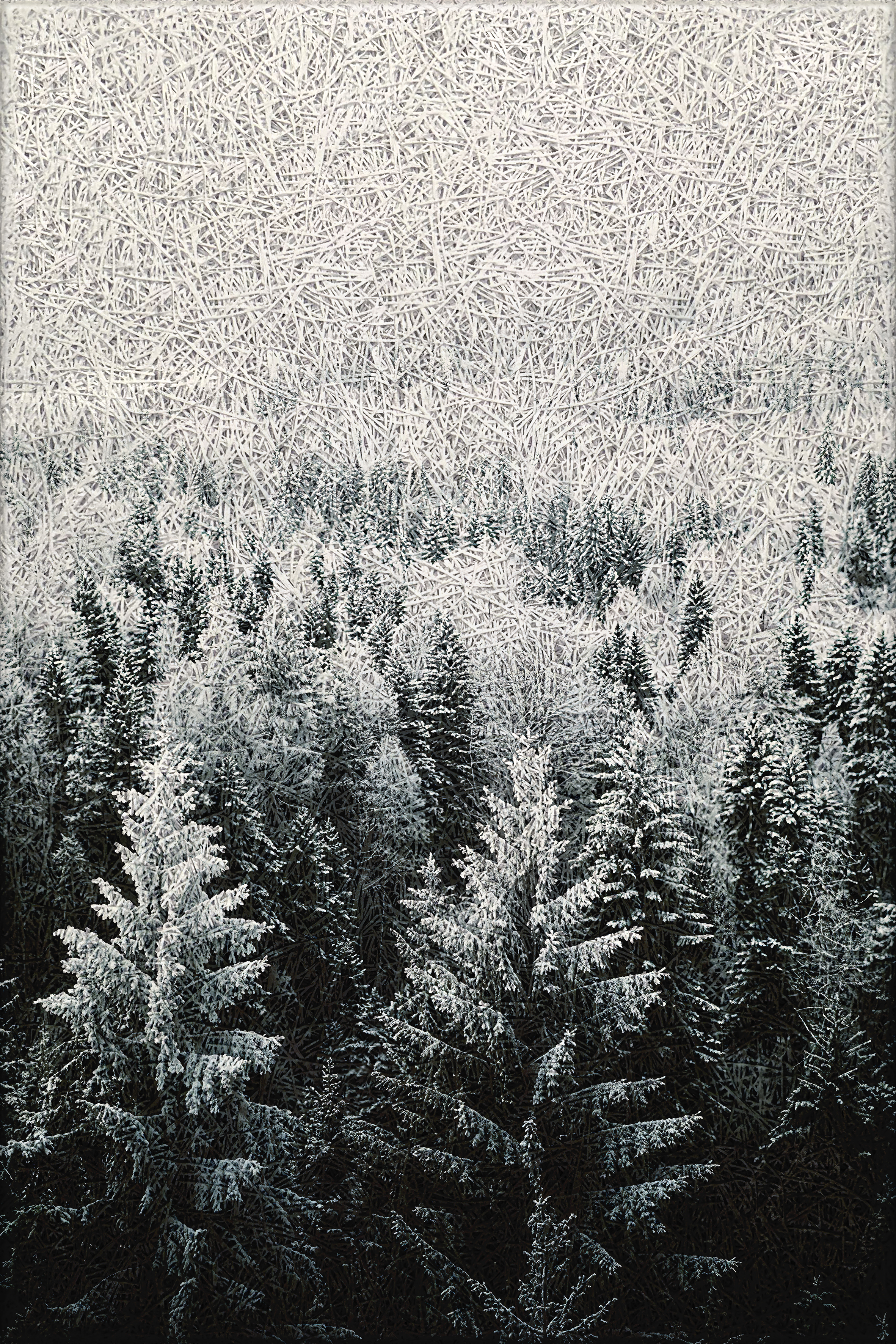 Winter Forest Acoustic Wall Panel