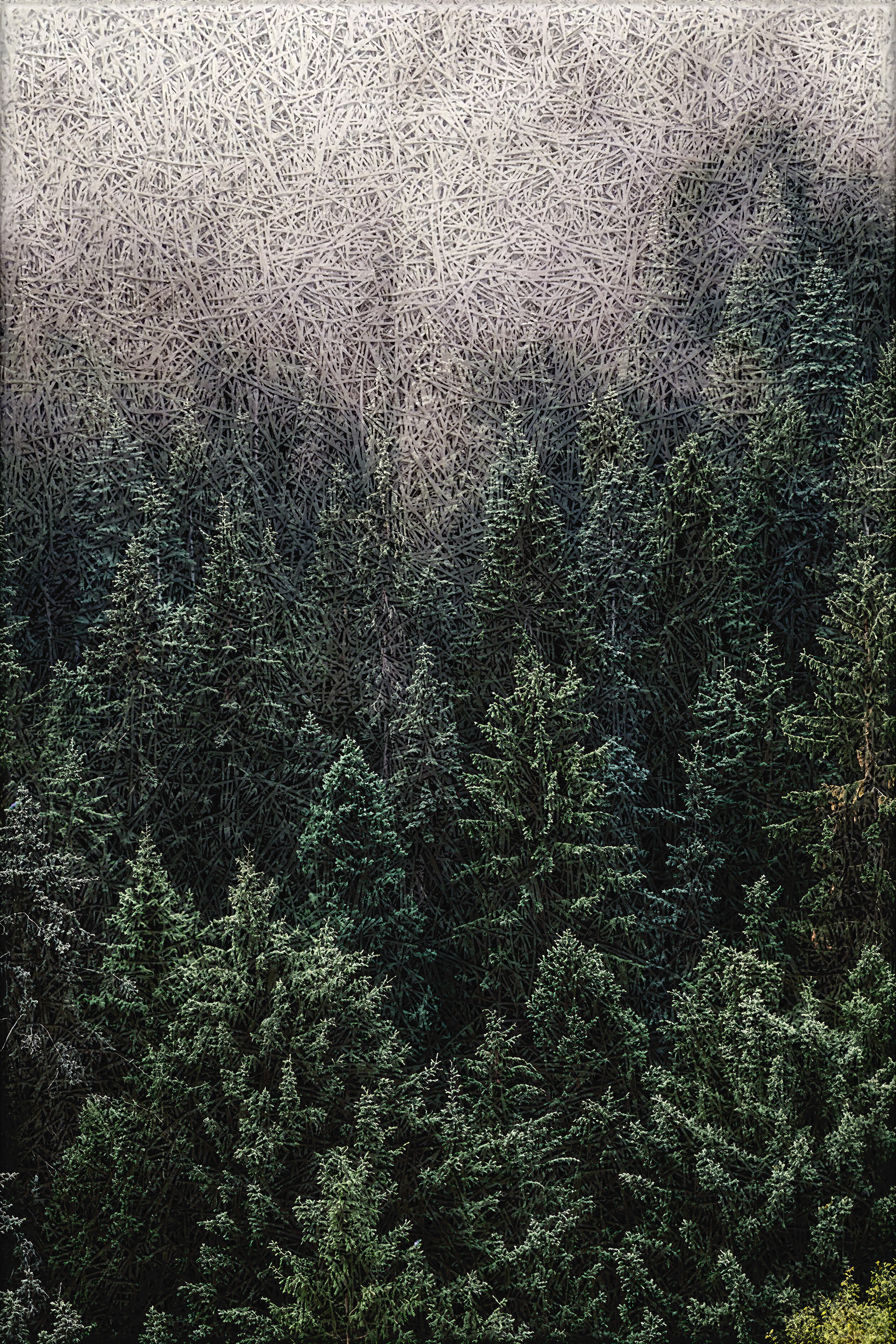 Pine Forest Acoustic Wall Panel