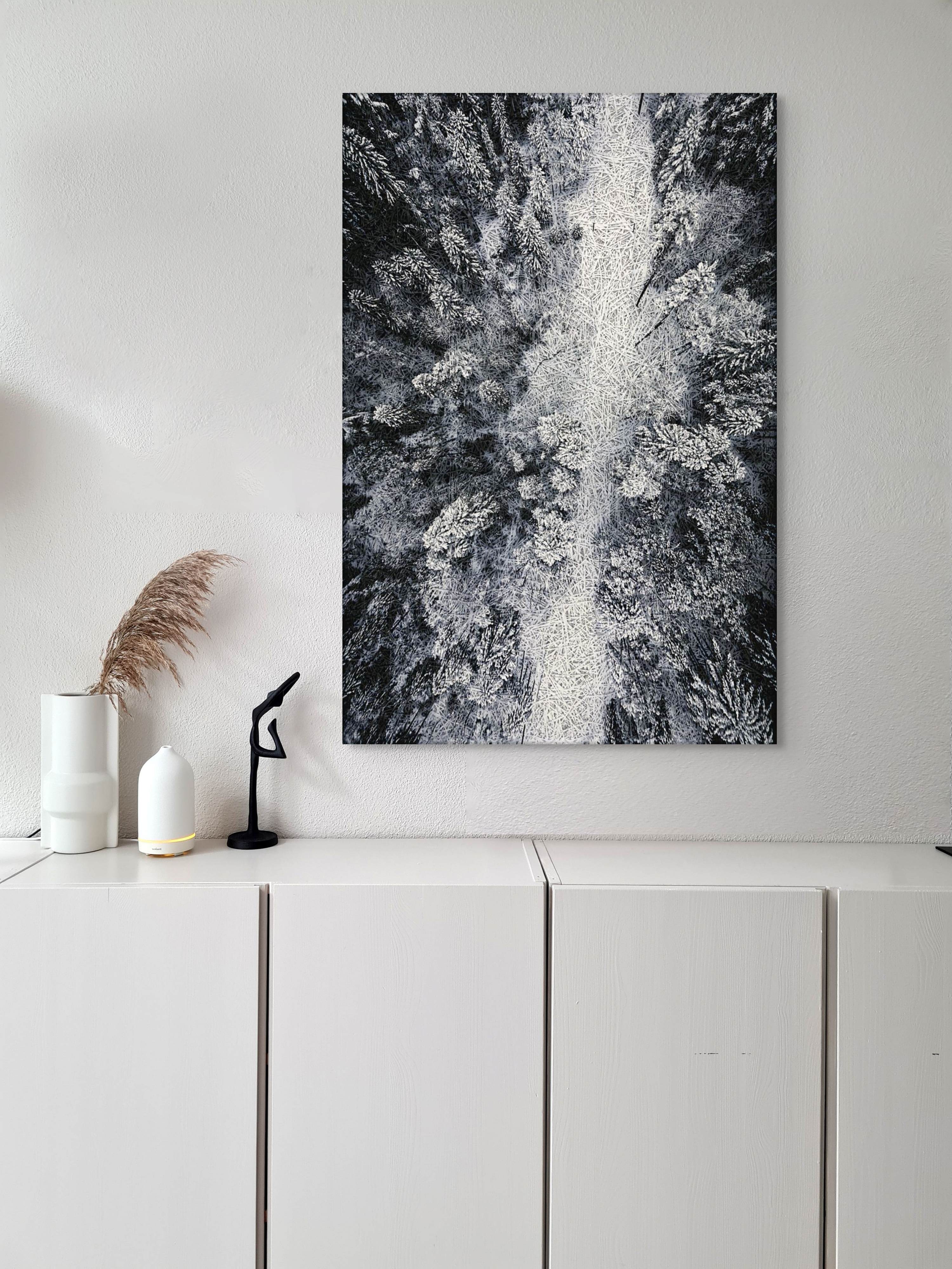 Aerial Winter Forest Acoustic Wall Panel