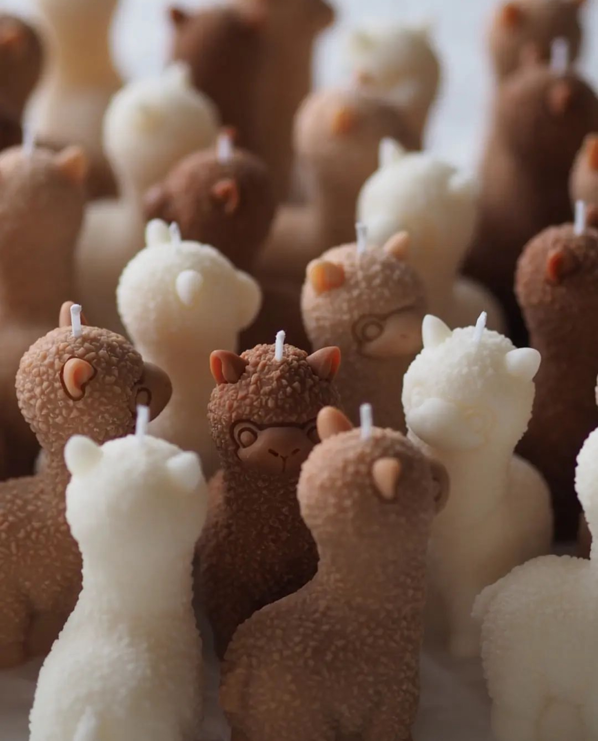 Vela Alpaca