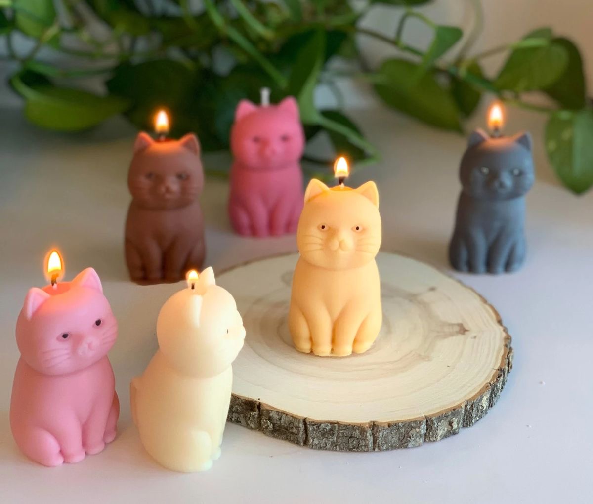 Vela Gatito