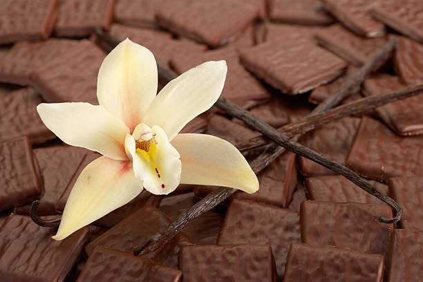 Esencia Chocolate y Vainilla