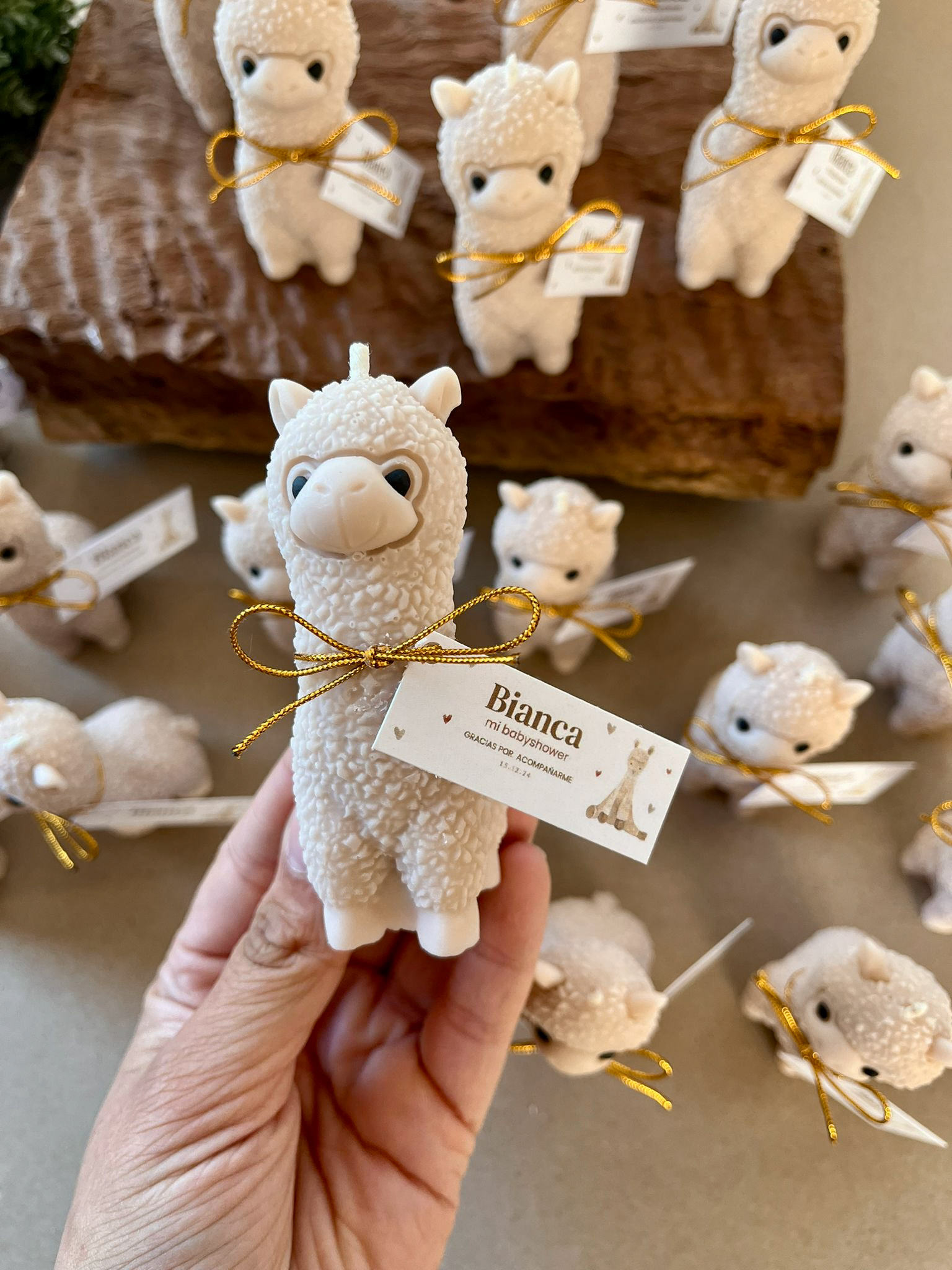 Vela Alpaca #4