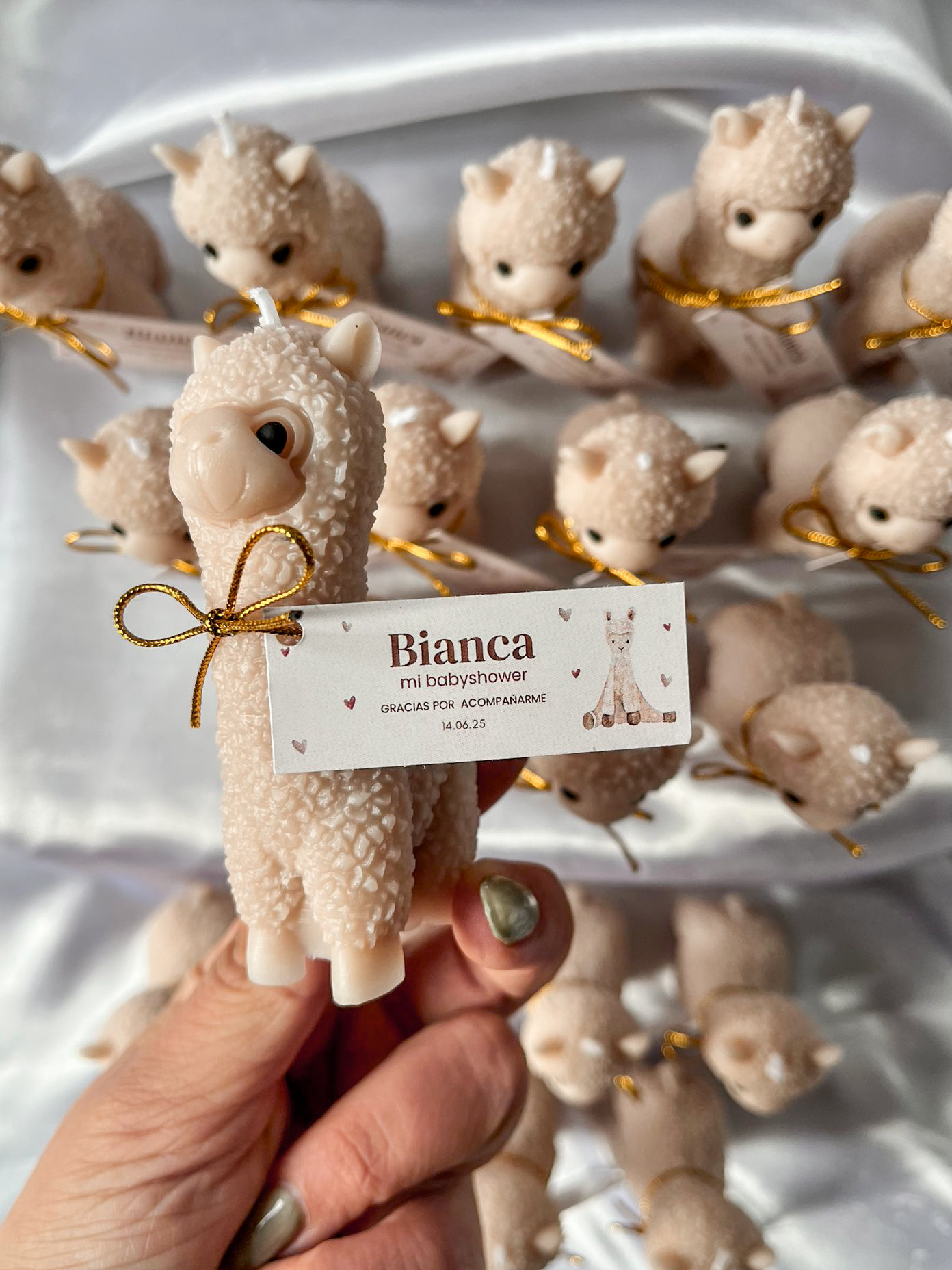 Vela Alpaca #4