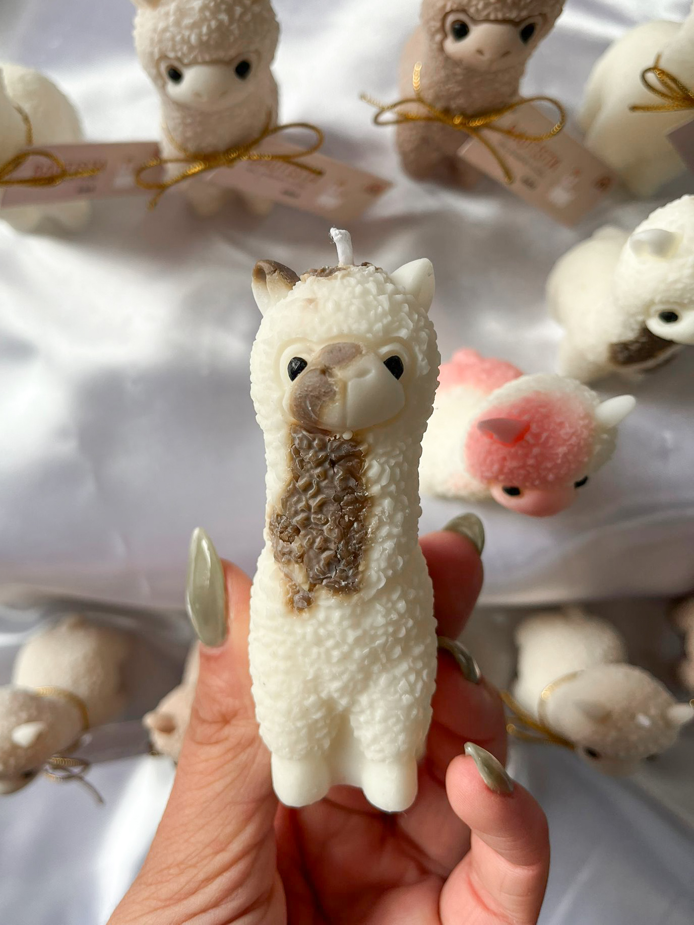 Vela Alpaca