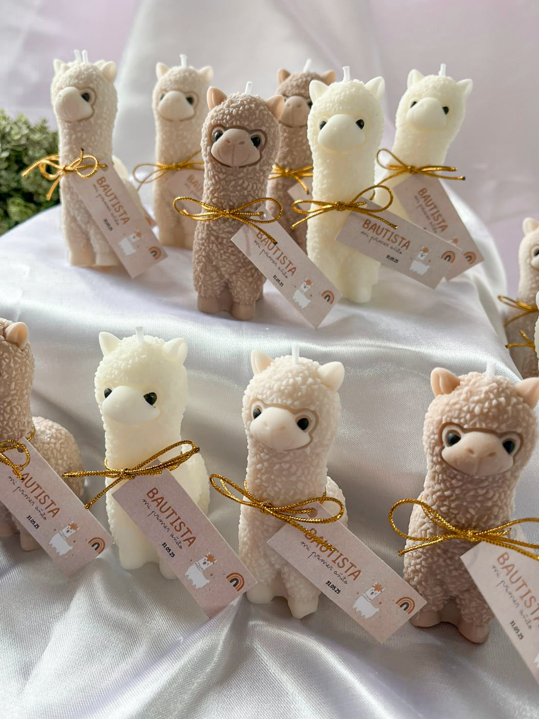 Vela Alpaca #4