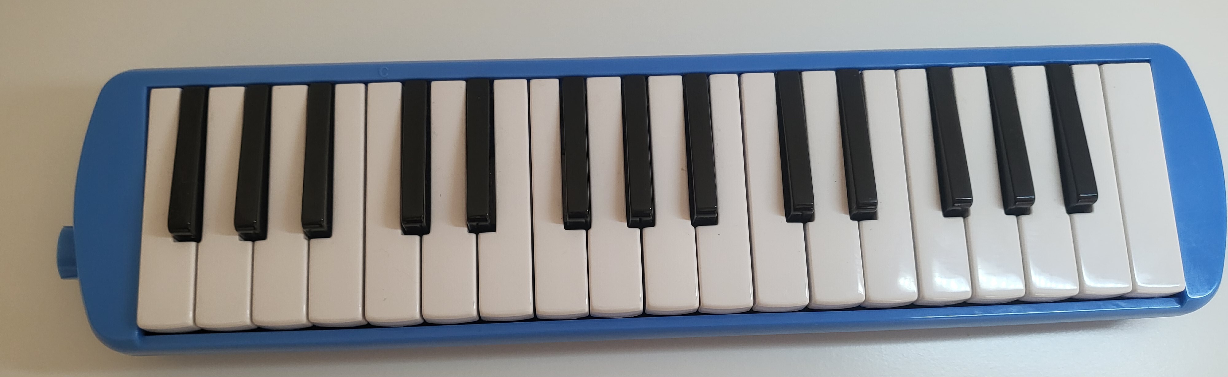 Mėlyna Vaikiška Melodika