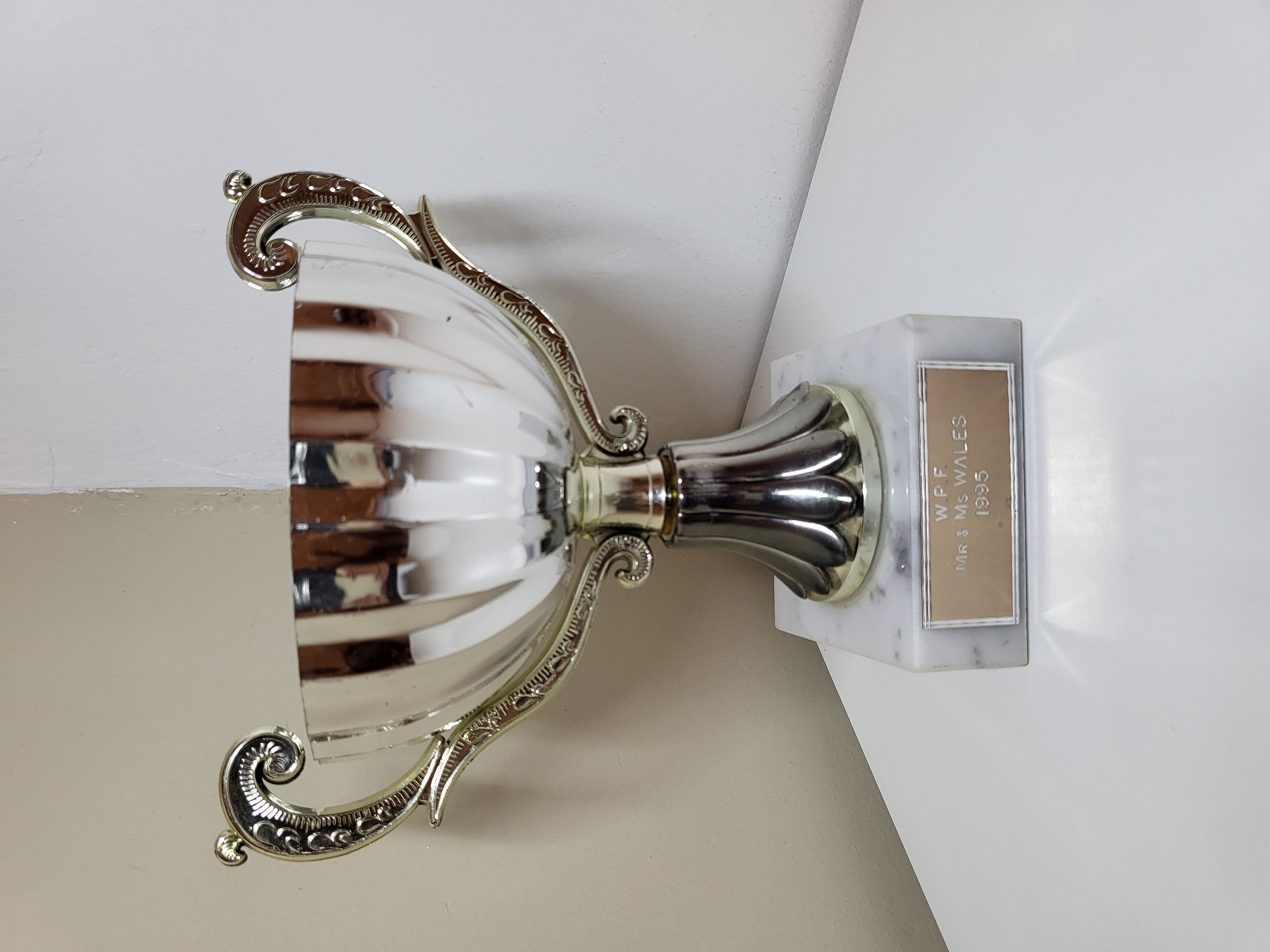1995 TROFĖJUS