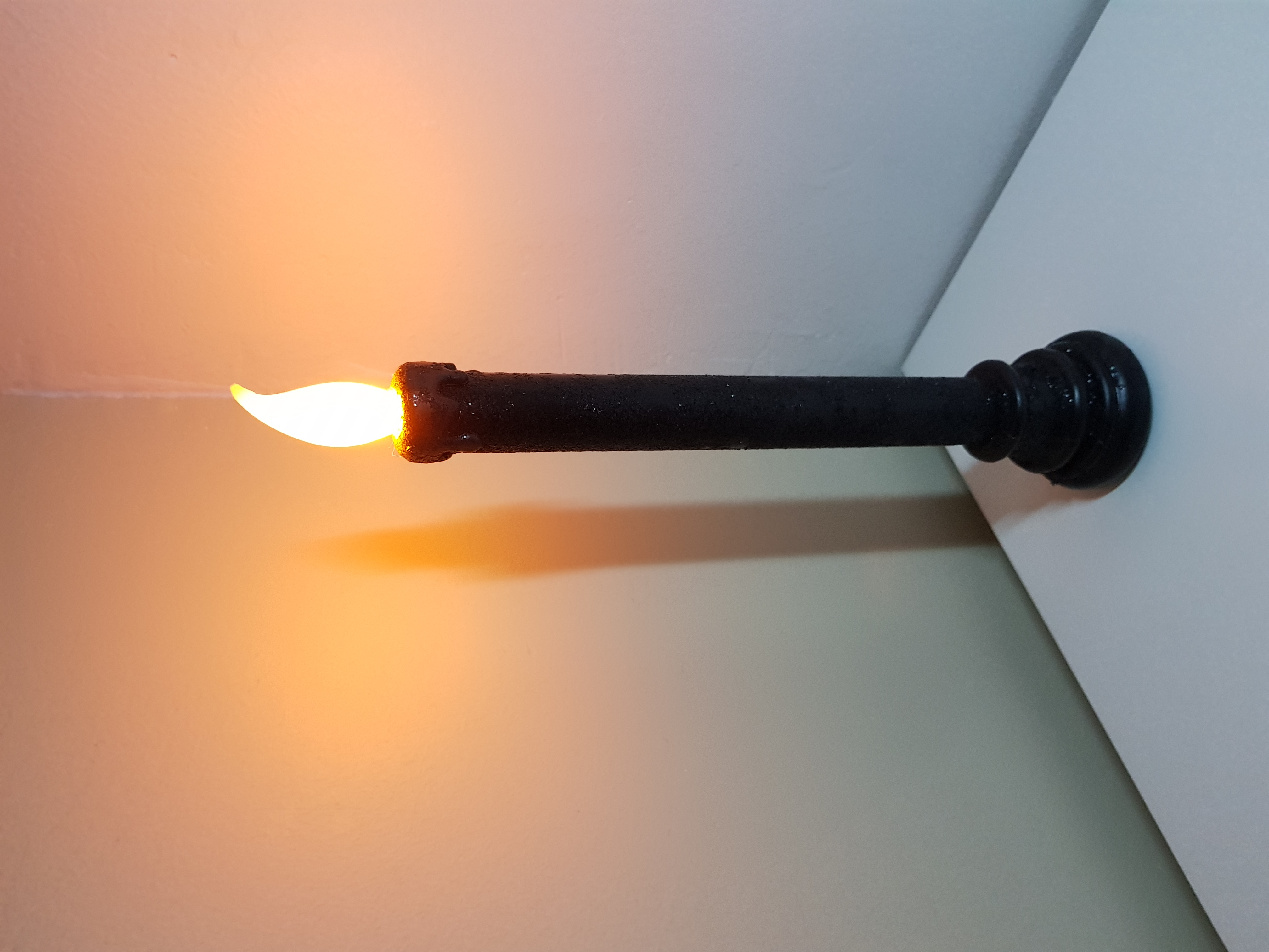 LED ŽVAKĖ