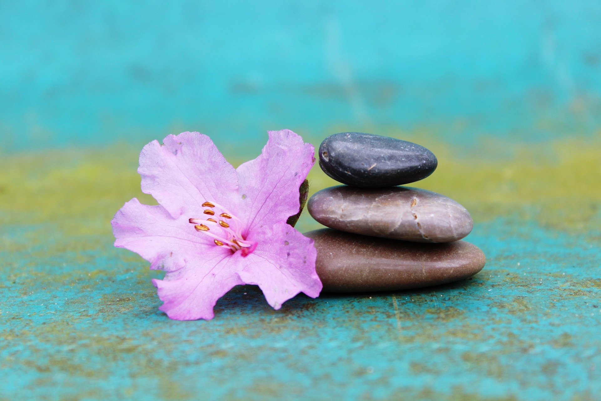 Live Channeling Event-Friday, October 24, 2025
