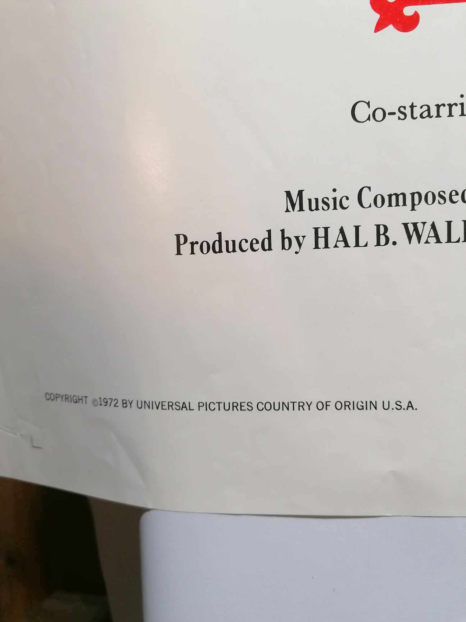 1971 Genuine one sheet Cinema Mary Queen of Scots Veneesa Redgrave Glenda Jackson 40 x 30"