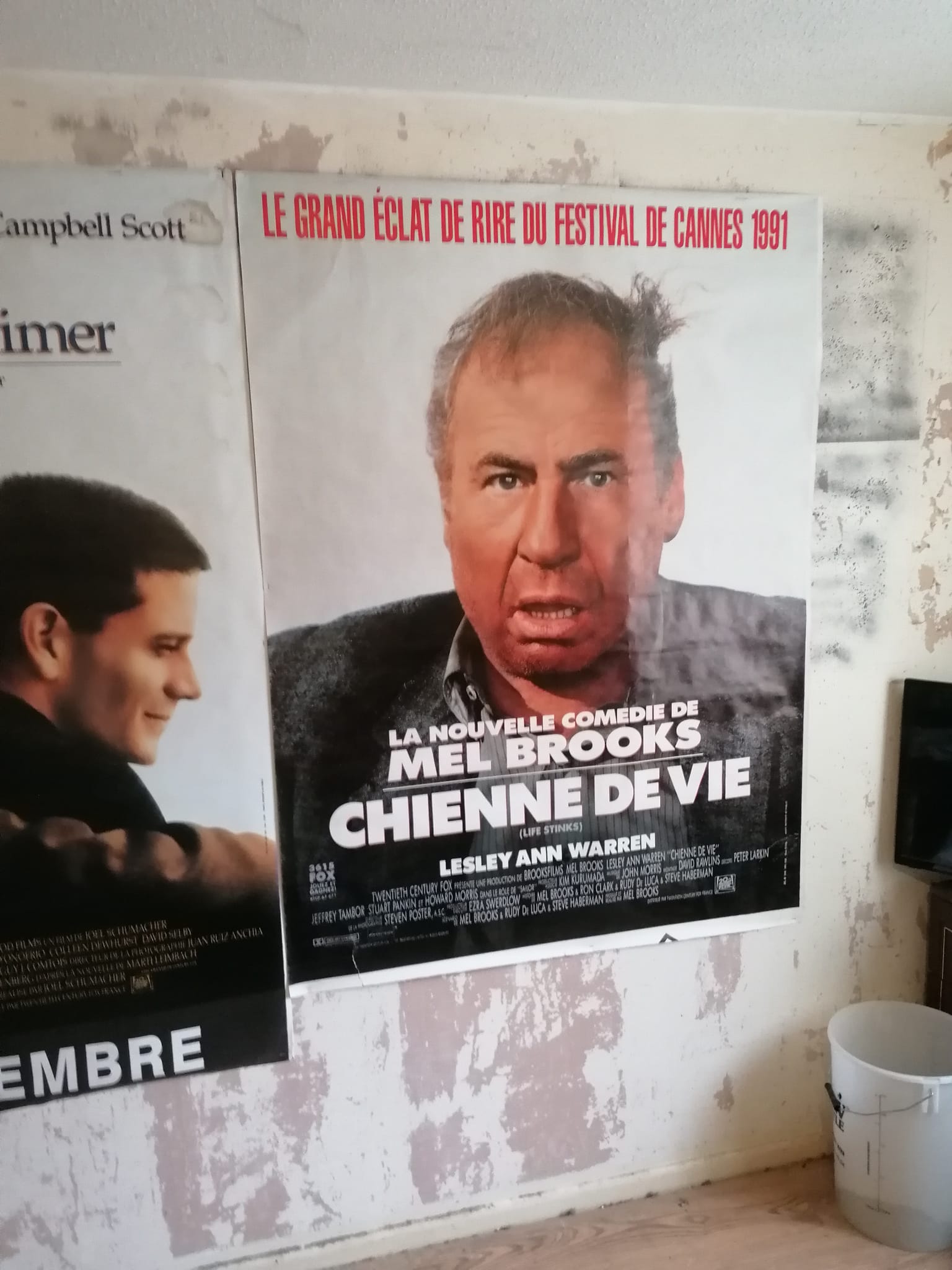 1991 Genuine Massive French Lightbox Poster Chemin De Vie (Life Stinks) 