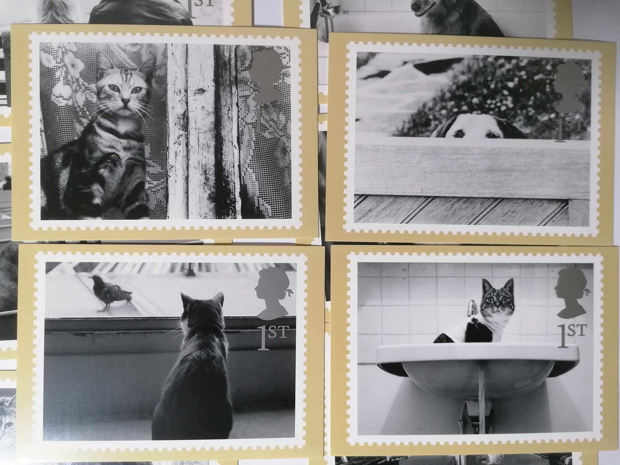 Set of 10 PHQ228 Royal Mail Stamp Postcards Cats and Dogs 2001 