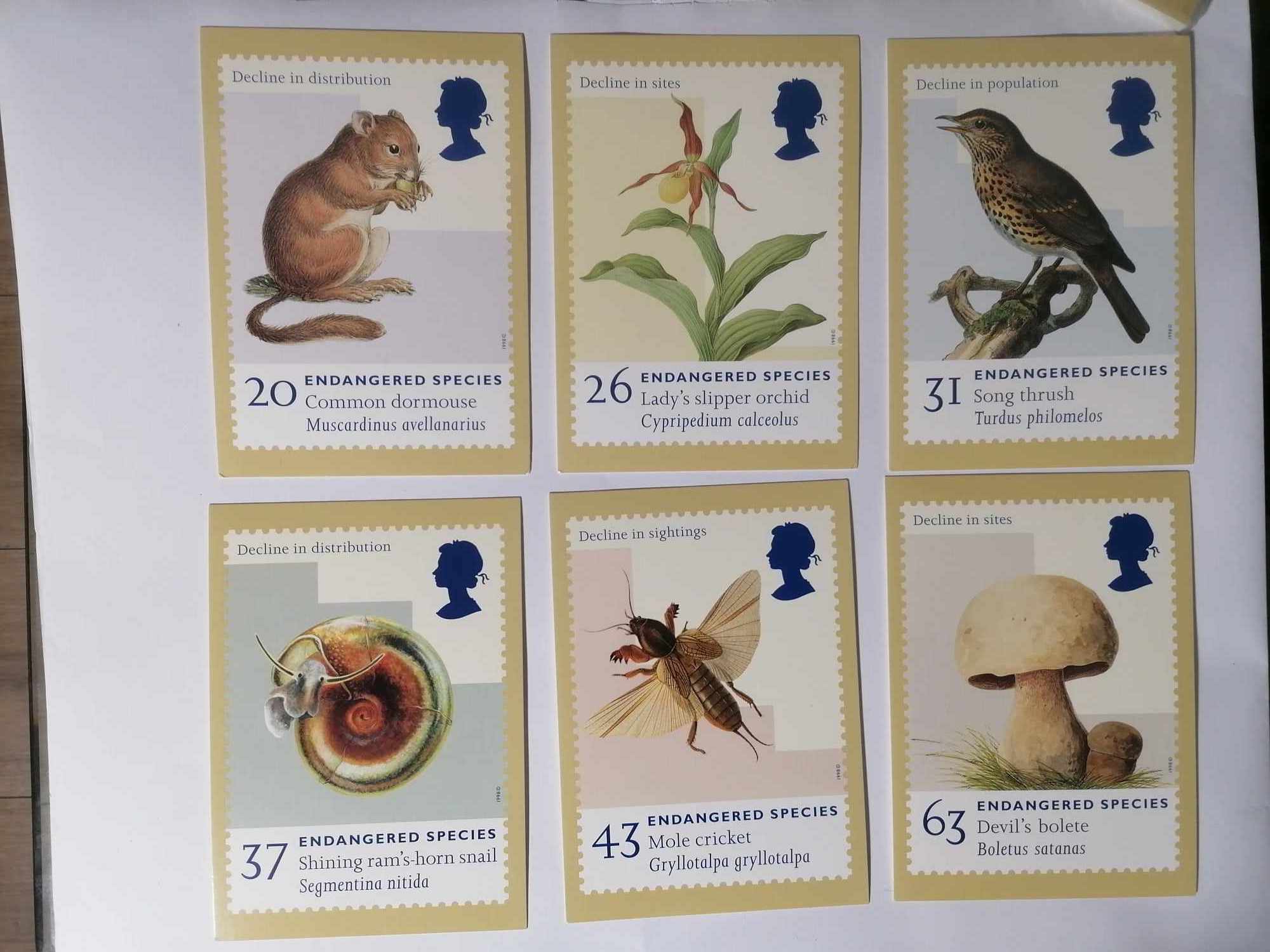 Set of 6 PHQ194 Royal Mail Stamp Postcards Endangered Species 1998