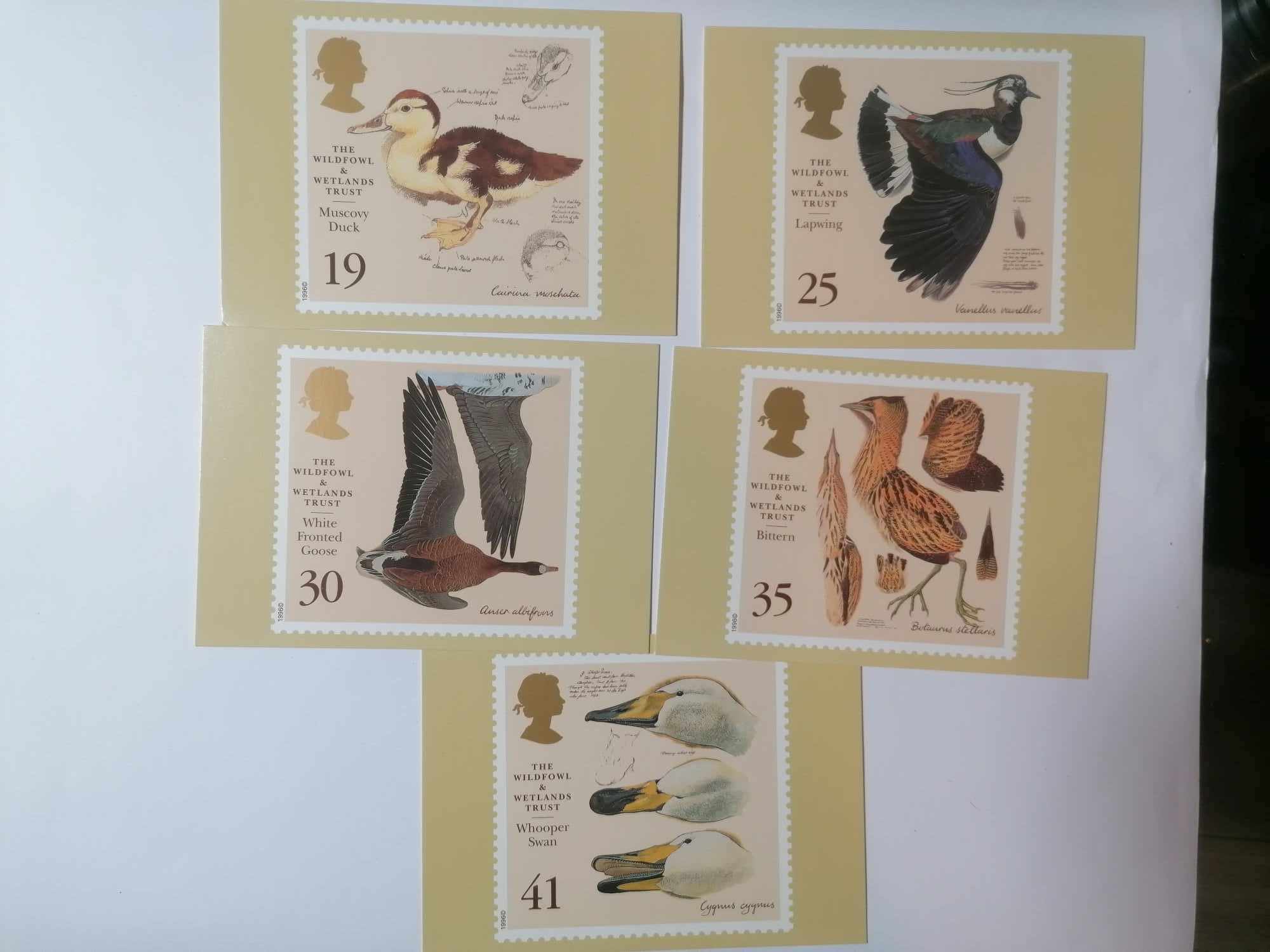 Set of 5 PHQ177 Royal Mail Stamp Postcards The Wildfowl & Wetlands Trust (Whooper Swan) 1996