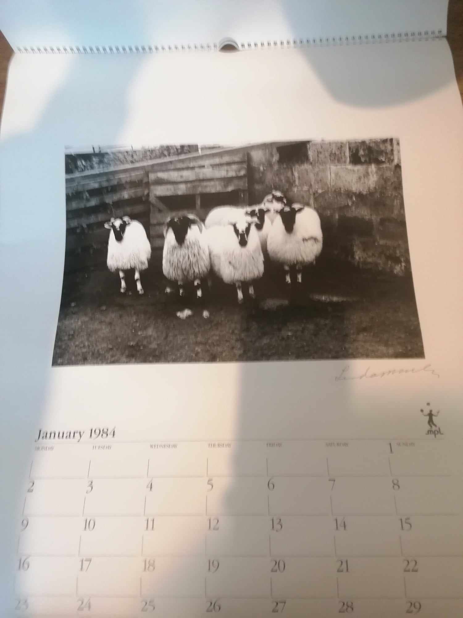 1984 Linda McCartney Calender in great condition and unused