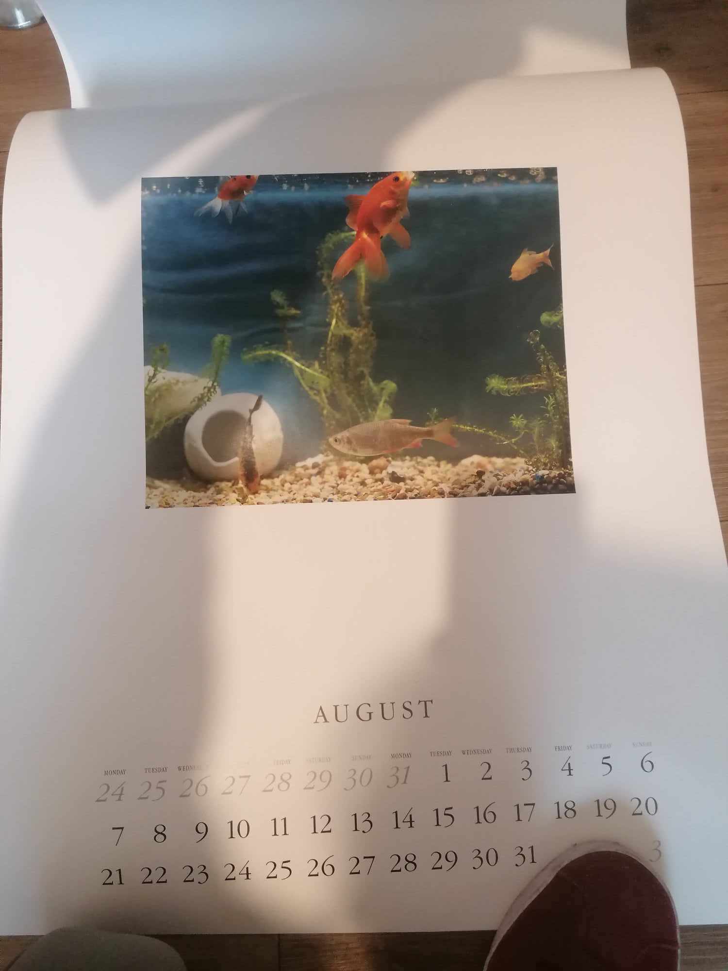 1989 Linda McCartney Calender in great condition and unused