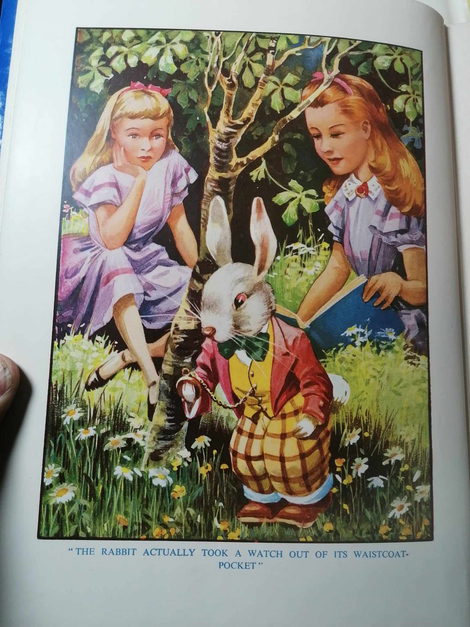 1930's Alice in Wonderland by Lewis Carroll Printed by Birn Brothers Limited with dust cover 
