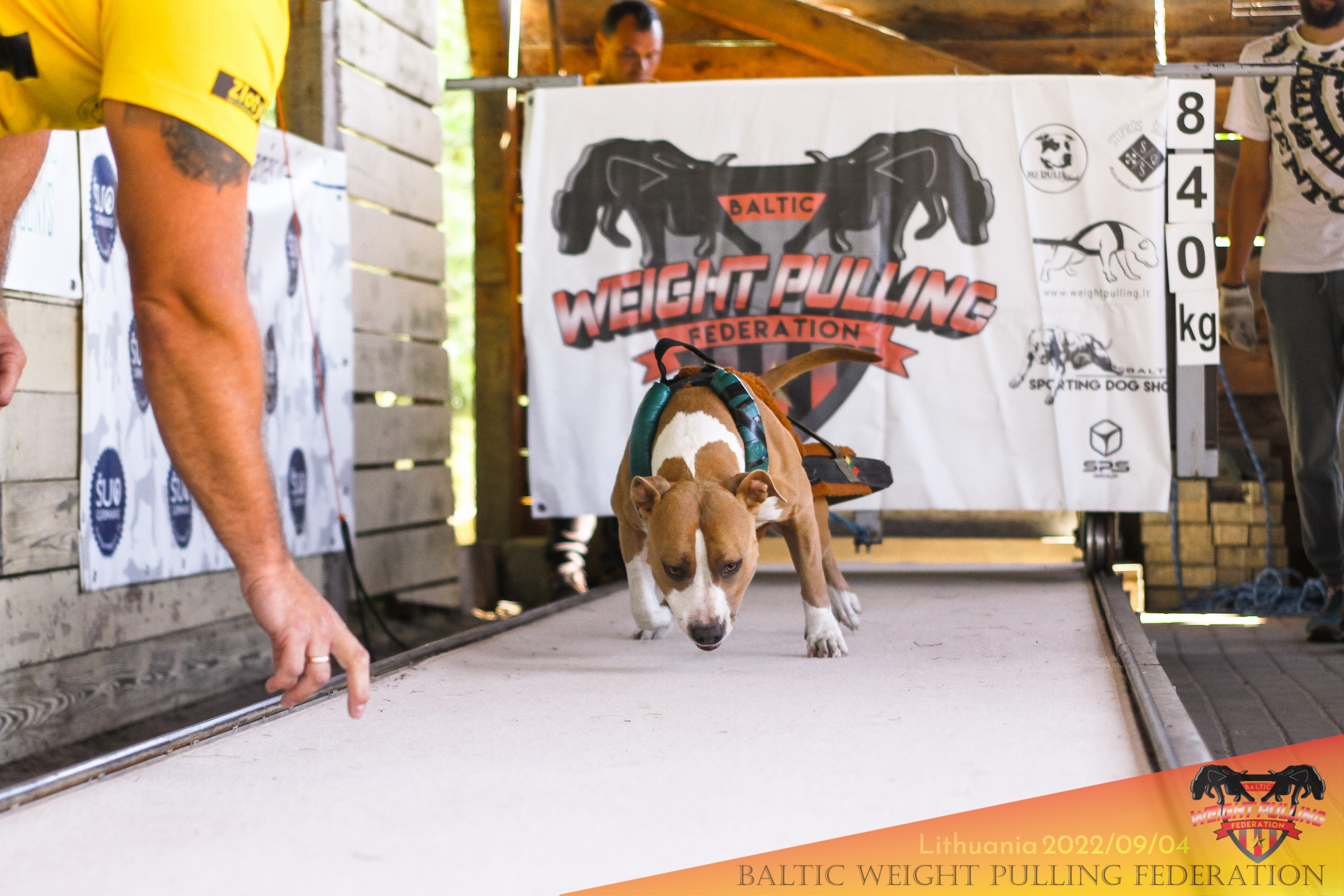 Svorio tempimo petnešos