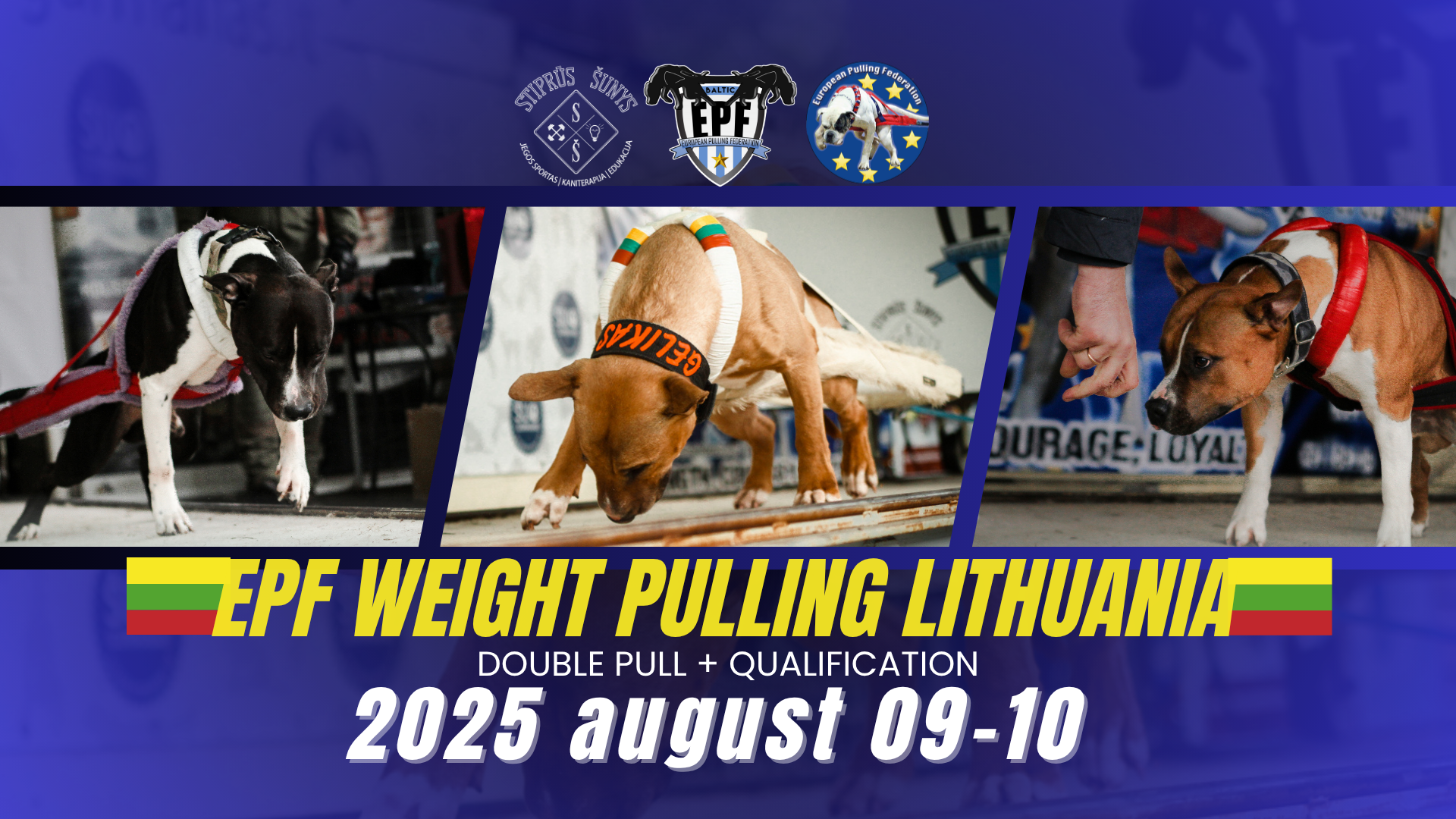 EPF WEIGHT PULLING LITHUANIA 2025
