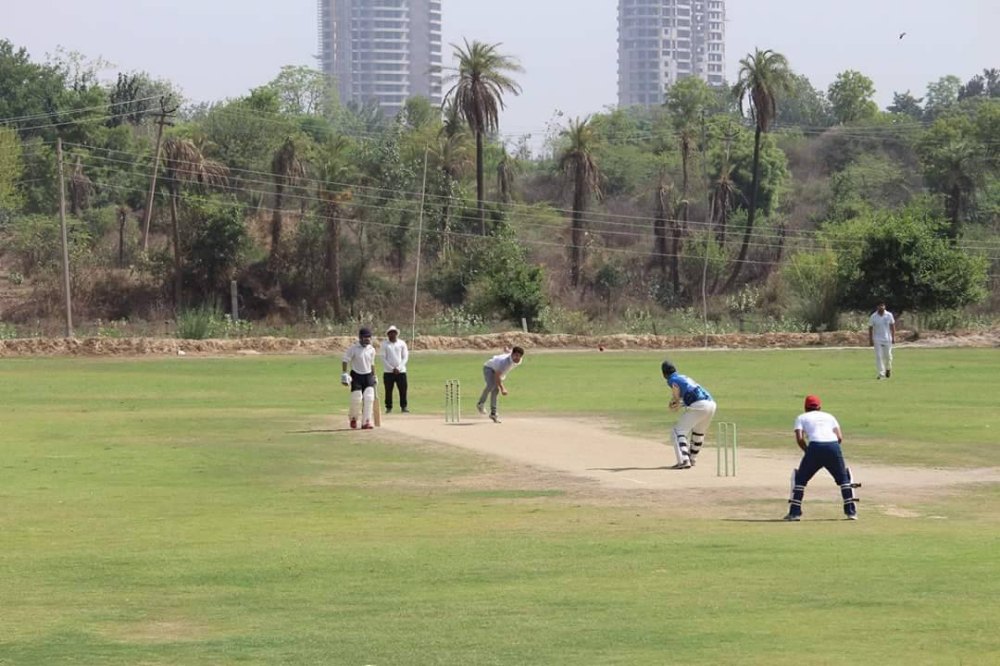 Cricket Ground Turfing