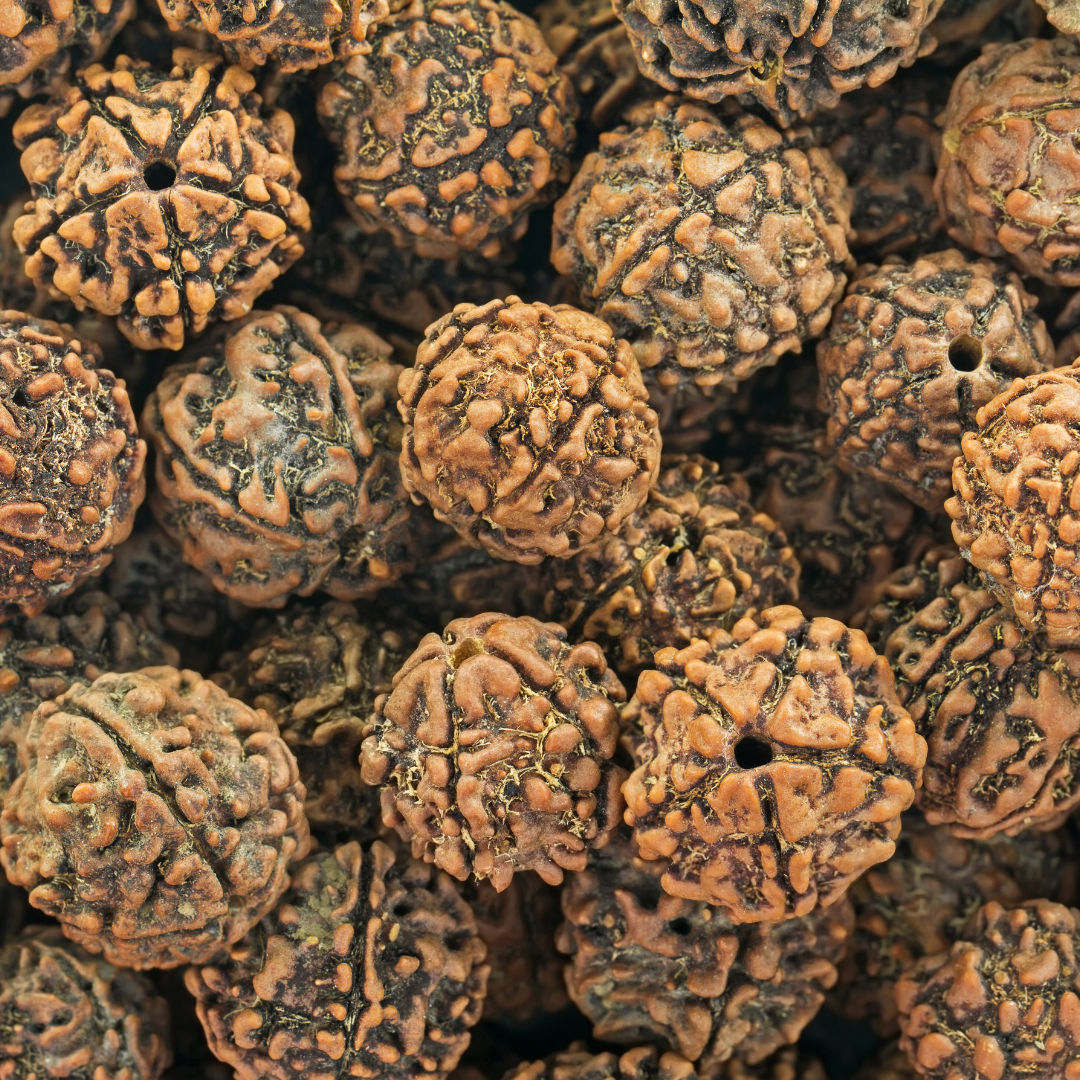 Rudraksha in Modern Wellness Practices