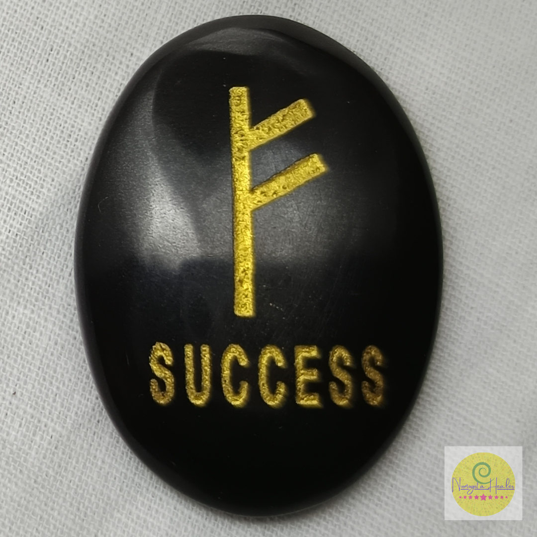 Black Agate Success Coin