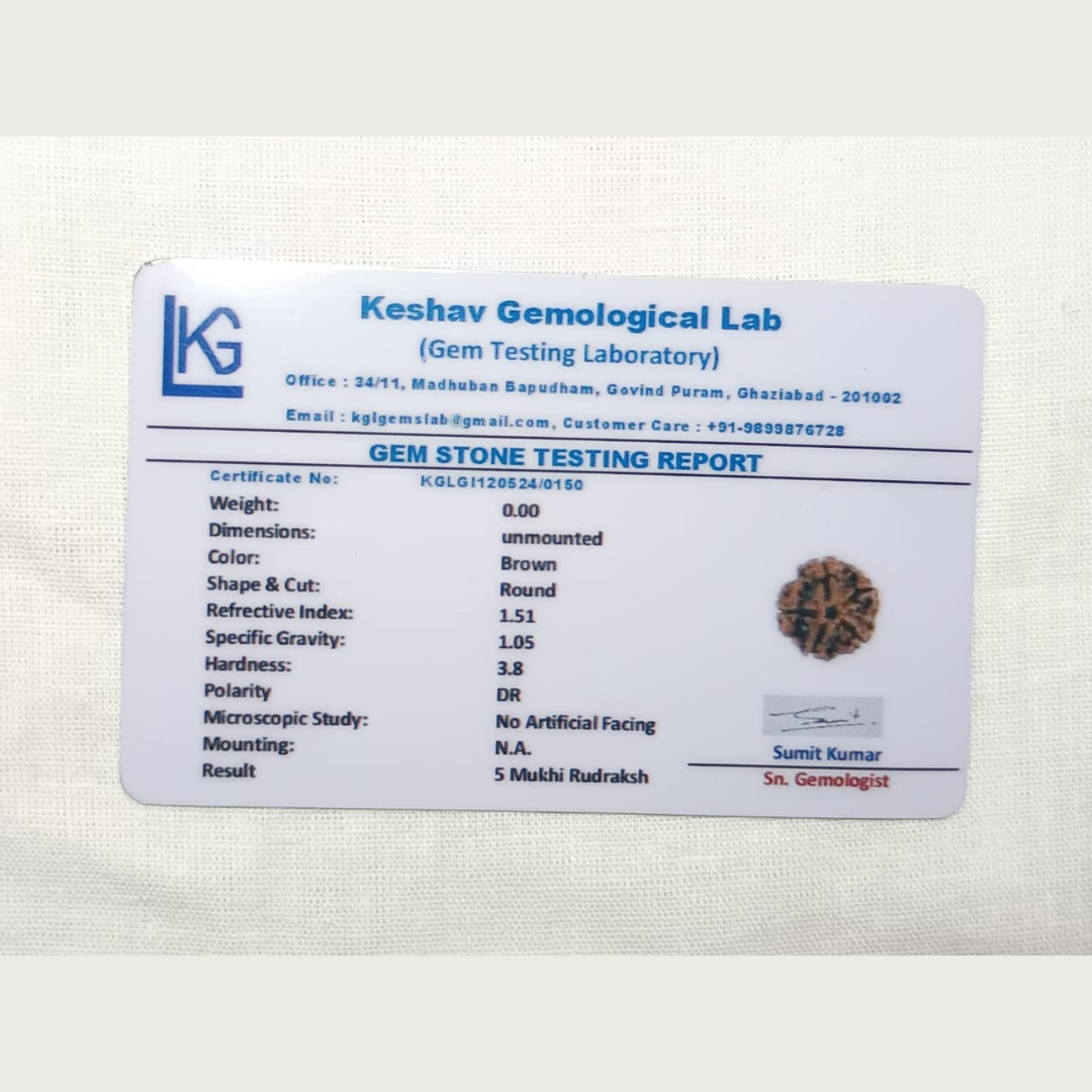 5 Mukhi Rudraksh