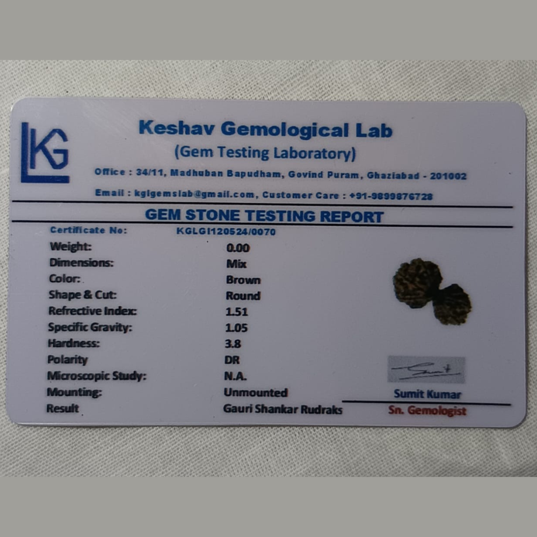 Gauri Sankar Rudraksha
