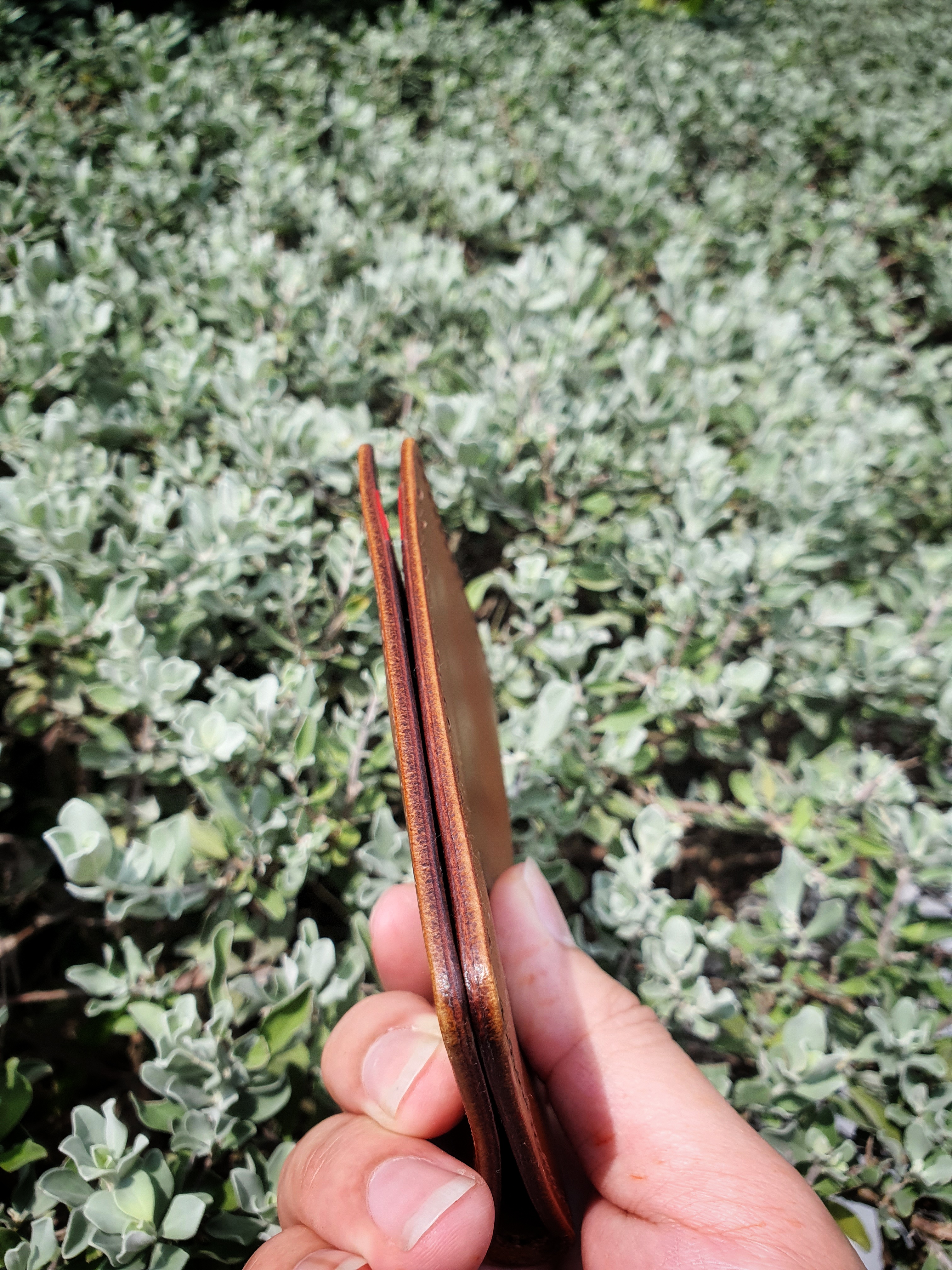 The maple - a 6 slot card and cash bifold leather wallet