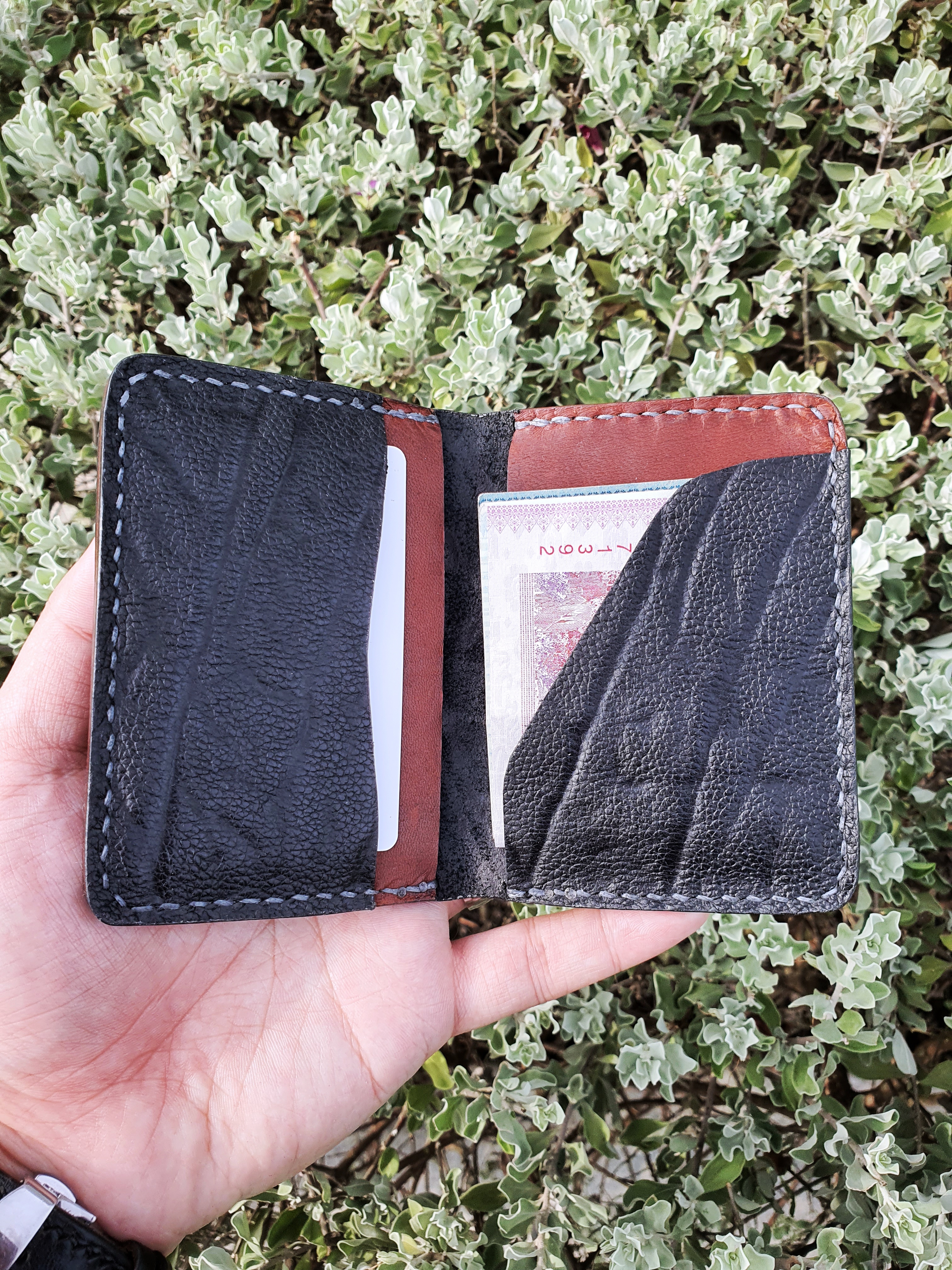 The Tawny in elephant and kangaroo