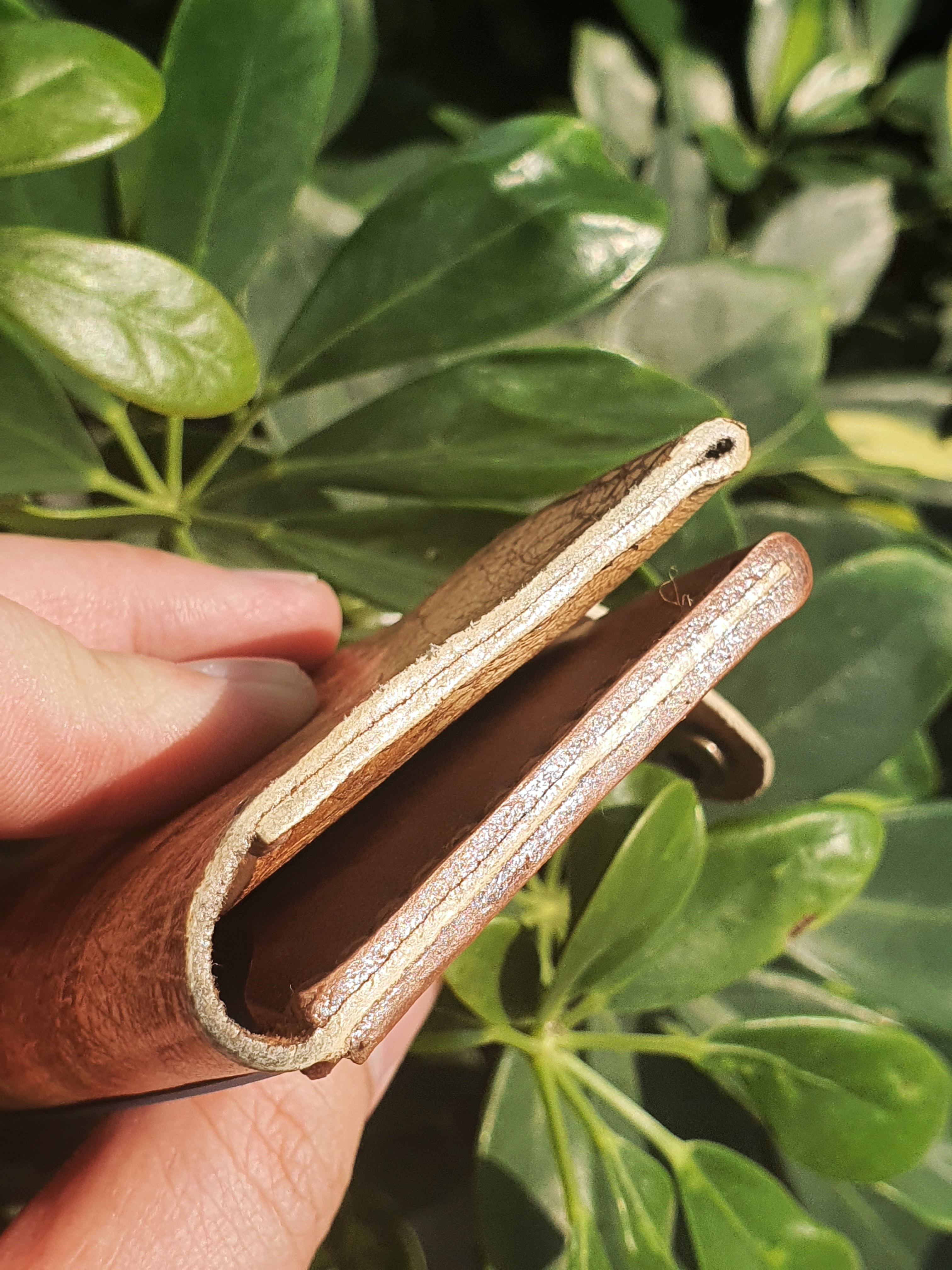 The willow - A button card and cash carry with