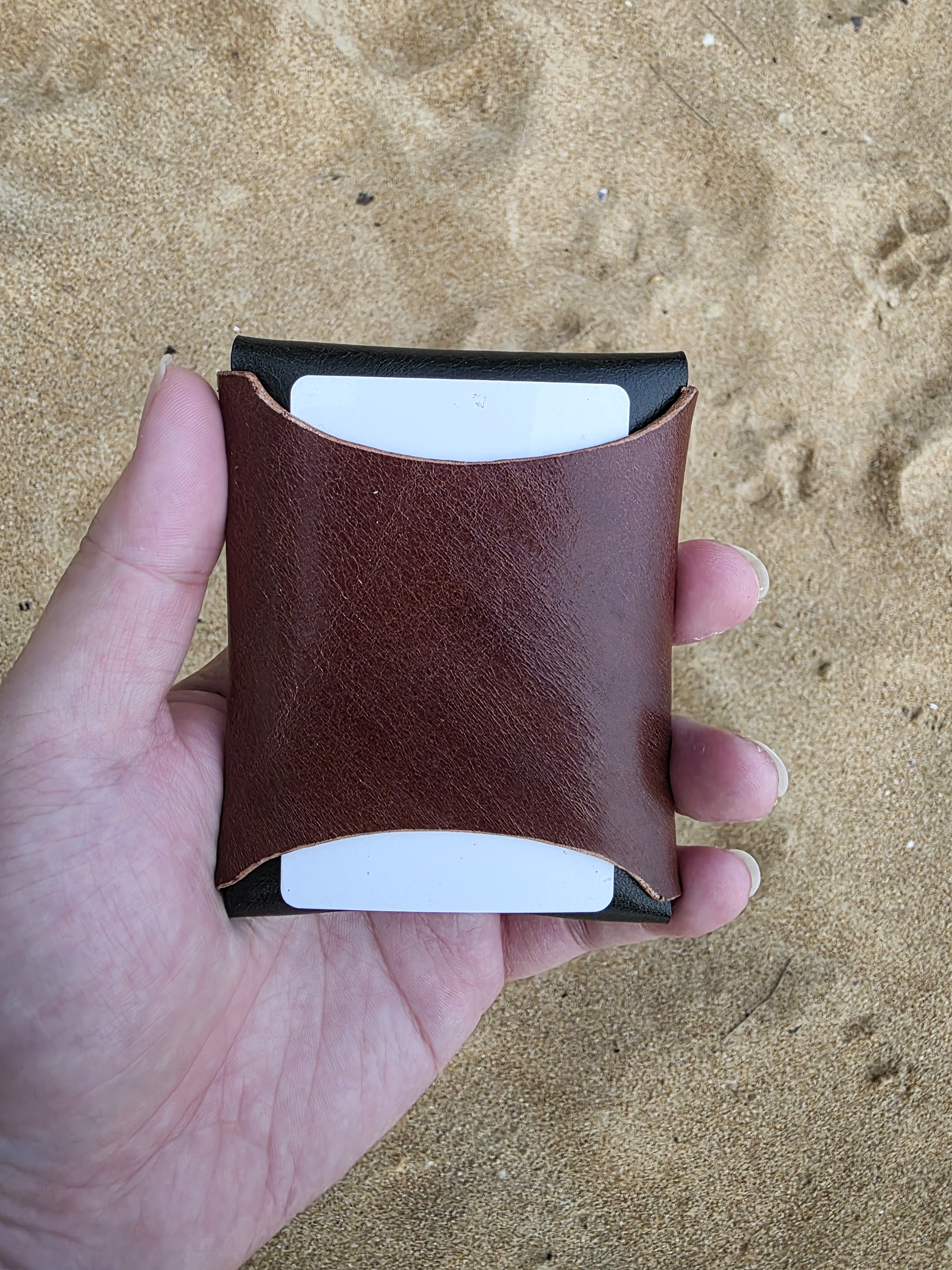 The Everest Cash Edition