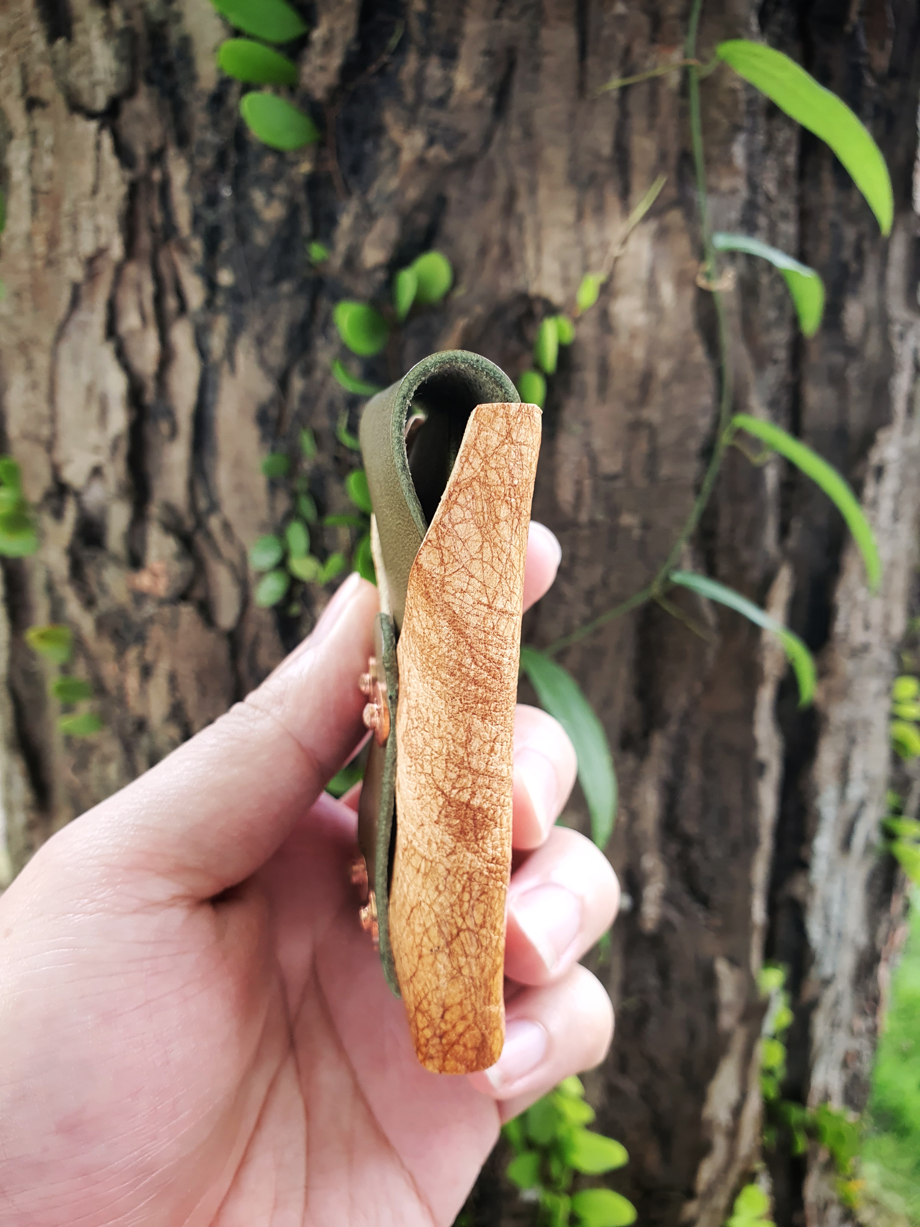 The Everest Card Edition