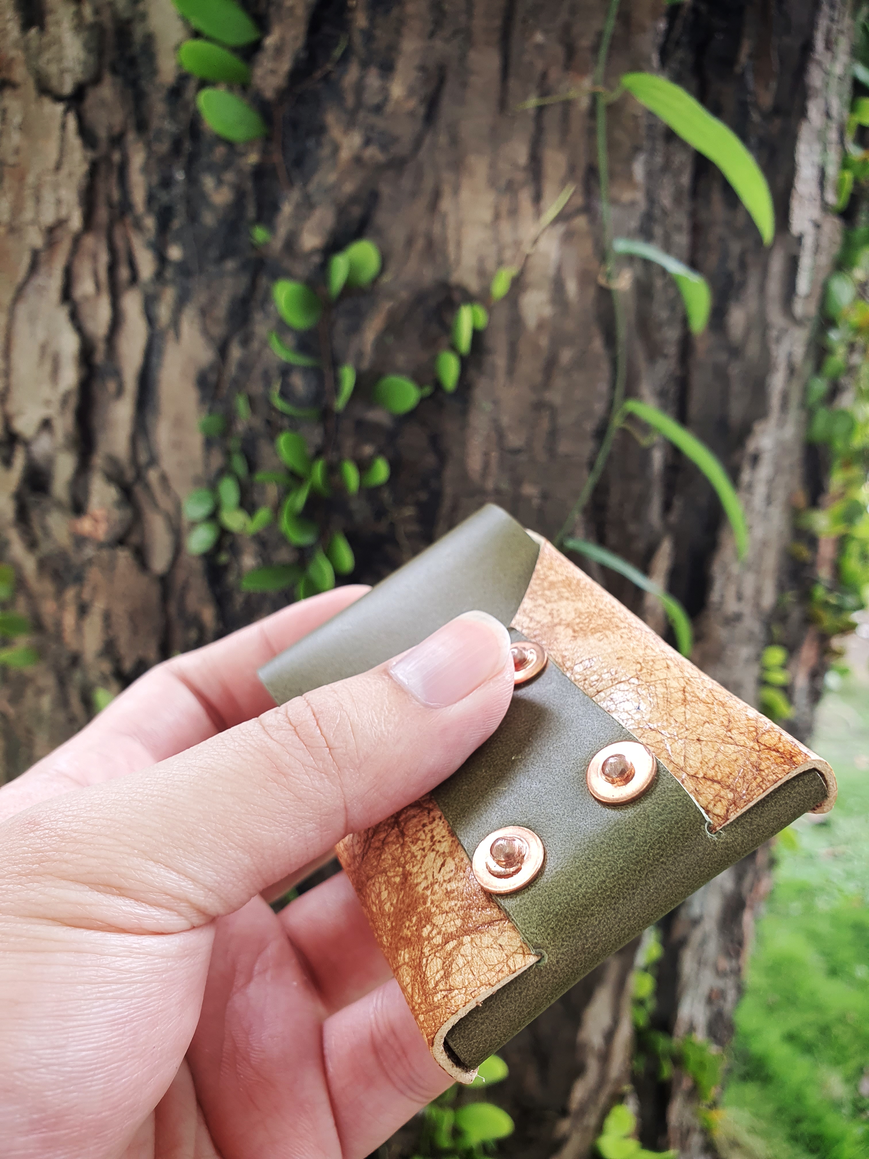 The Everest Card Edition