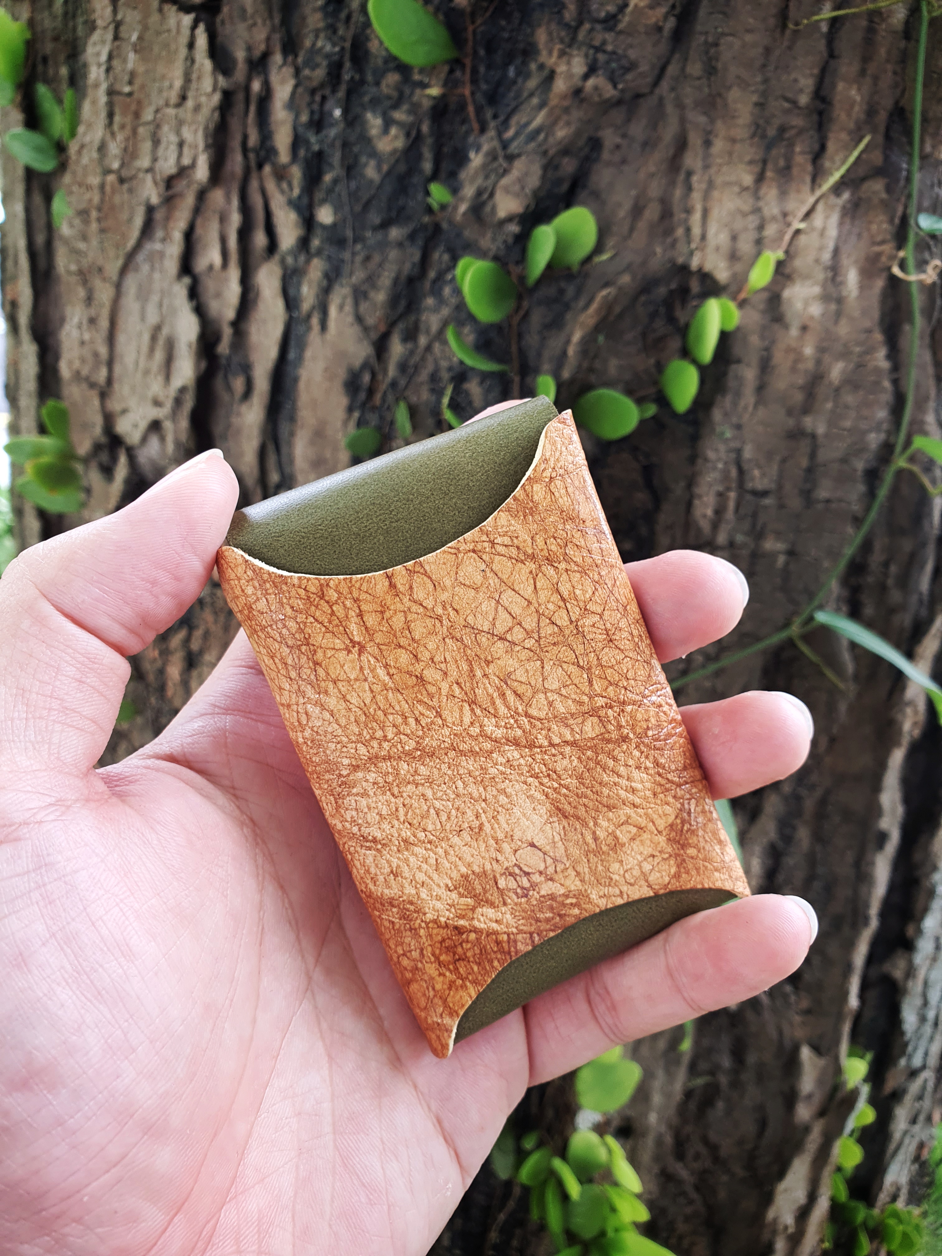 The Everest Card Edition