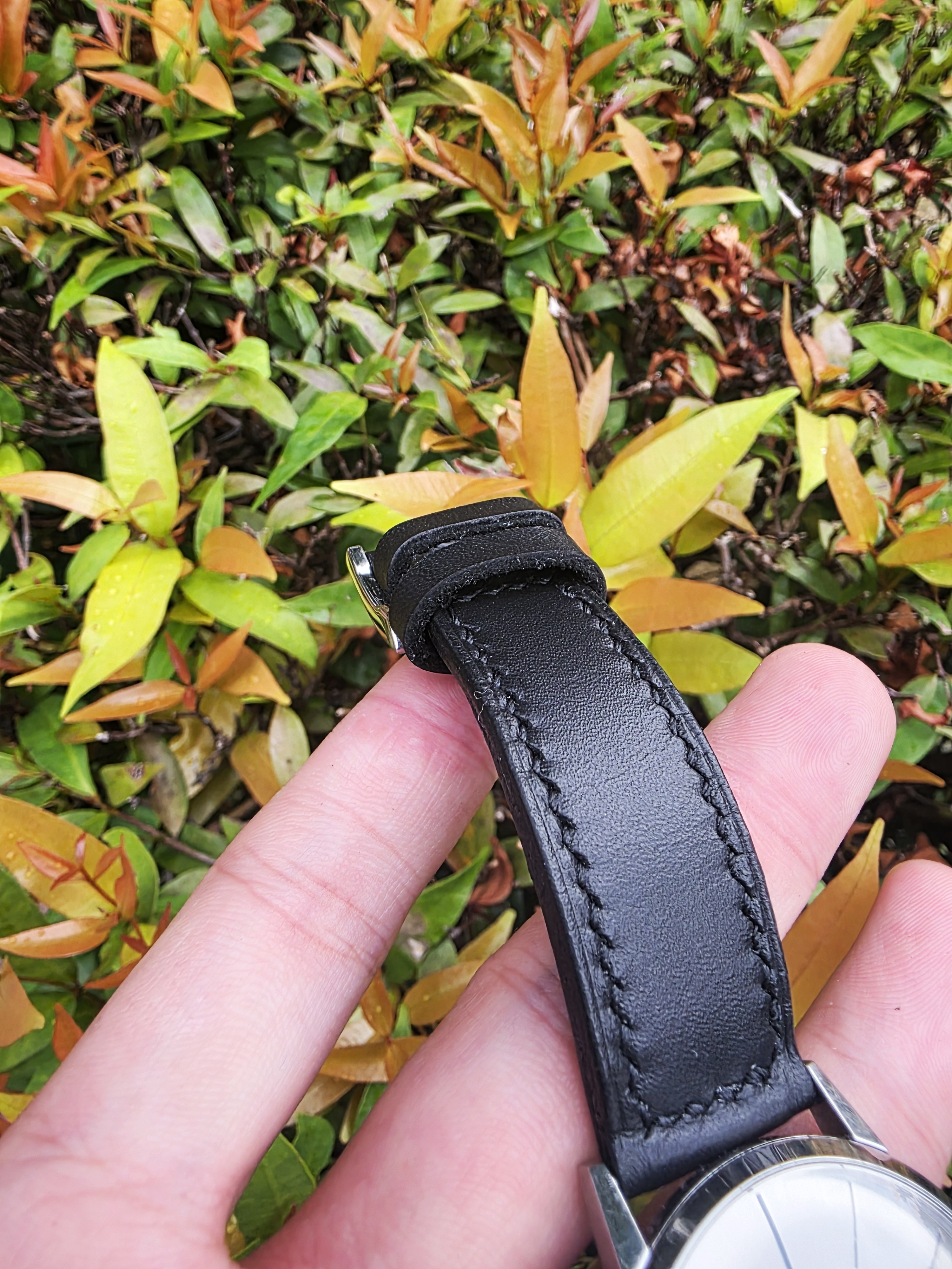 Showcase: The Rosewood: A black leather strap on a Hamilton watch