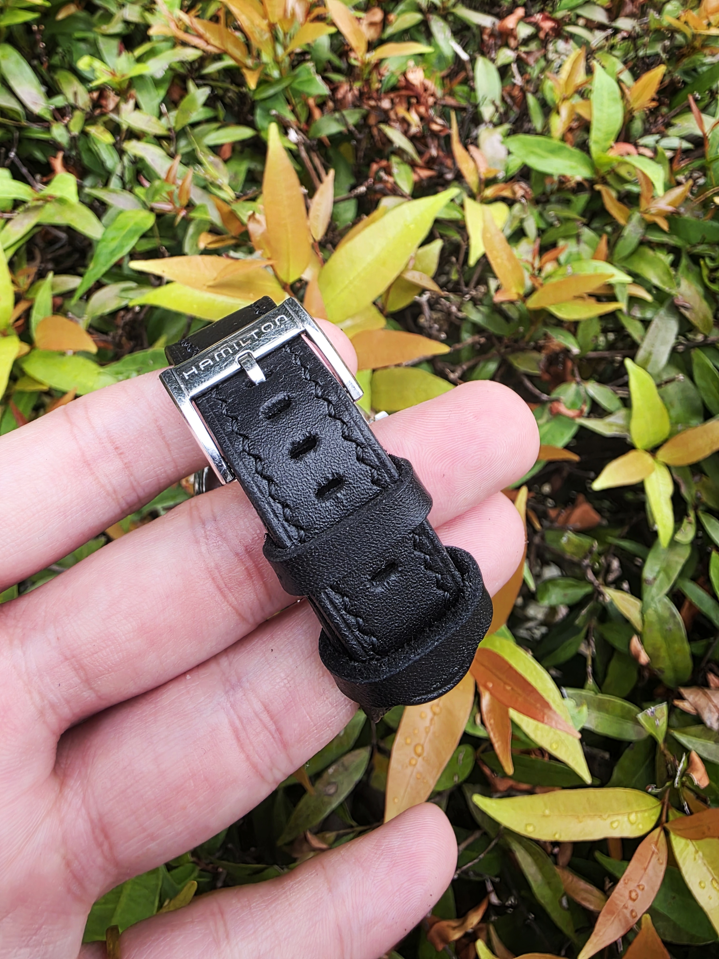 Showcase: The Rosewood: A black leather strap on a Hamilton watch