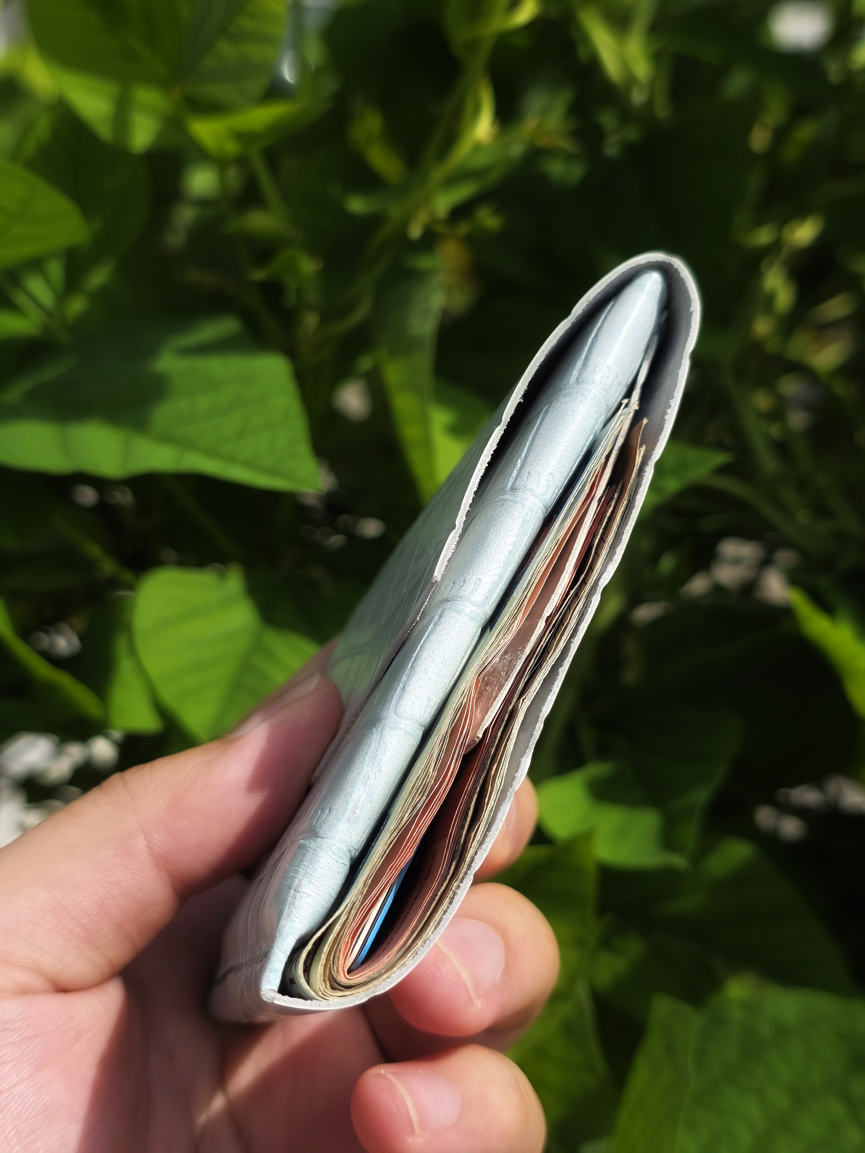 The Icaria: a cash flap wallet in patent croc leather inspired by Oldis Road's wallet