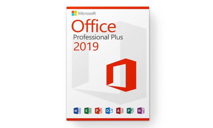 Microsoft Office 2019 Professional Plus (Lifetime License for Windows, 1 PC, 32/64-bit)