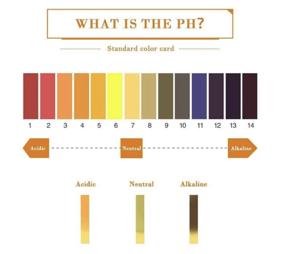 pH Indicator Paper