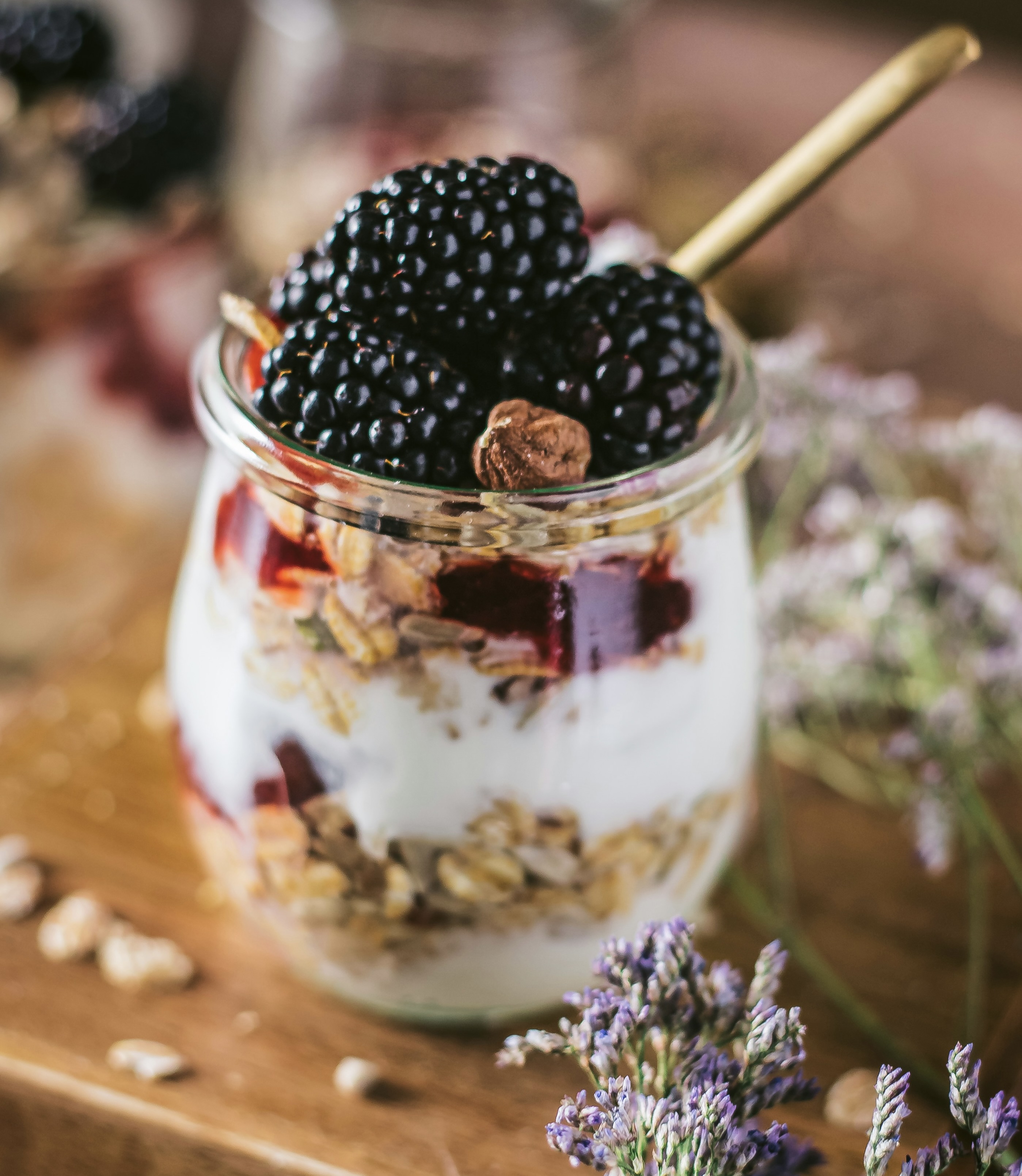 Viili Yoghurt Culture