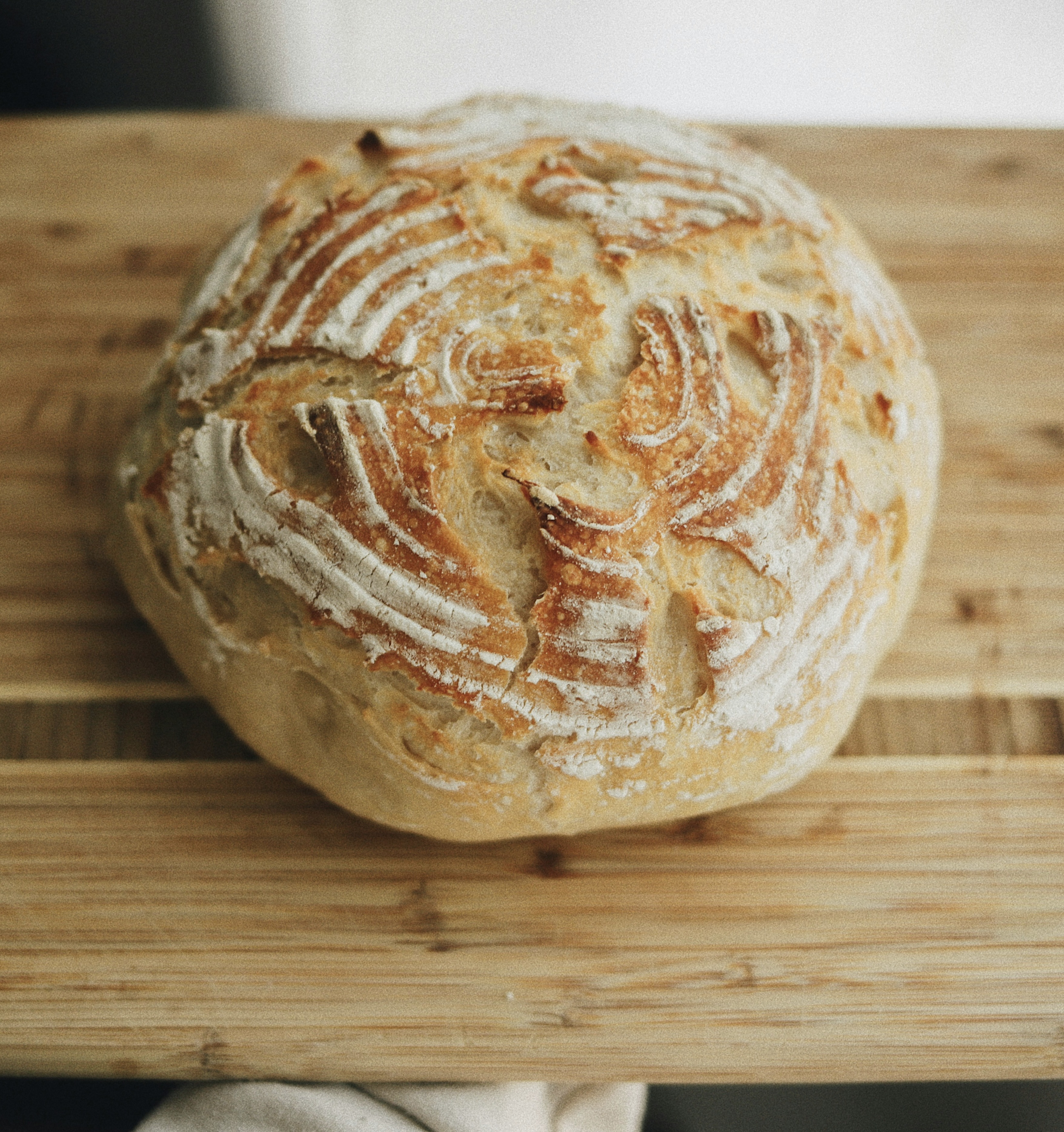 Sourdough Starter Culture