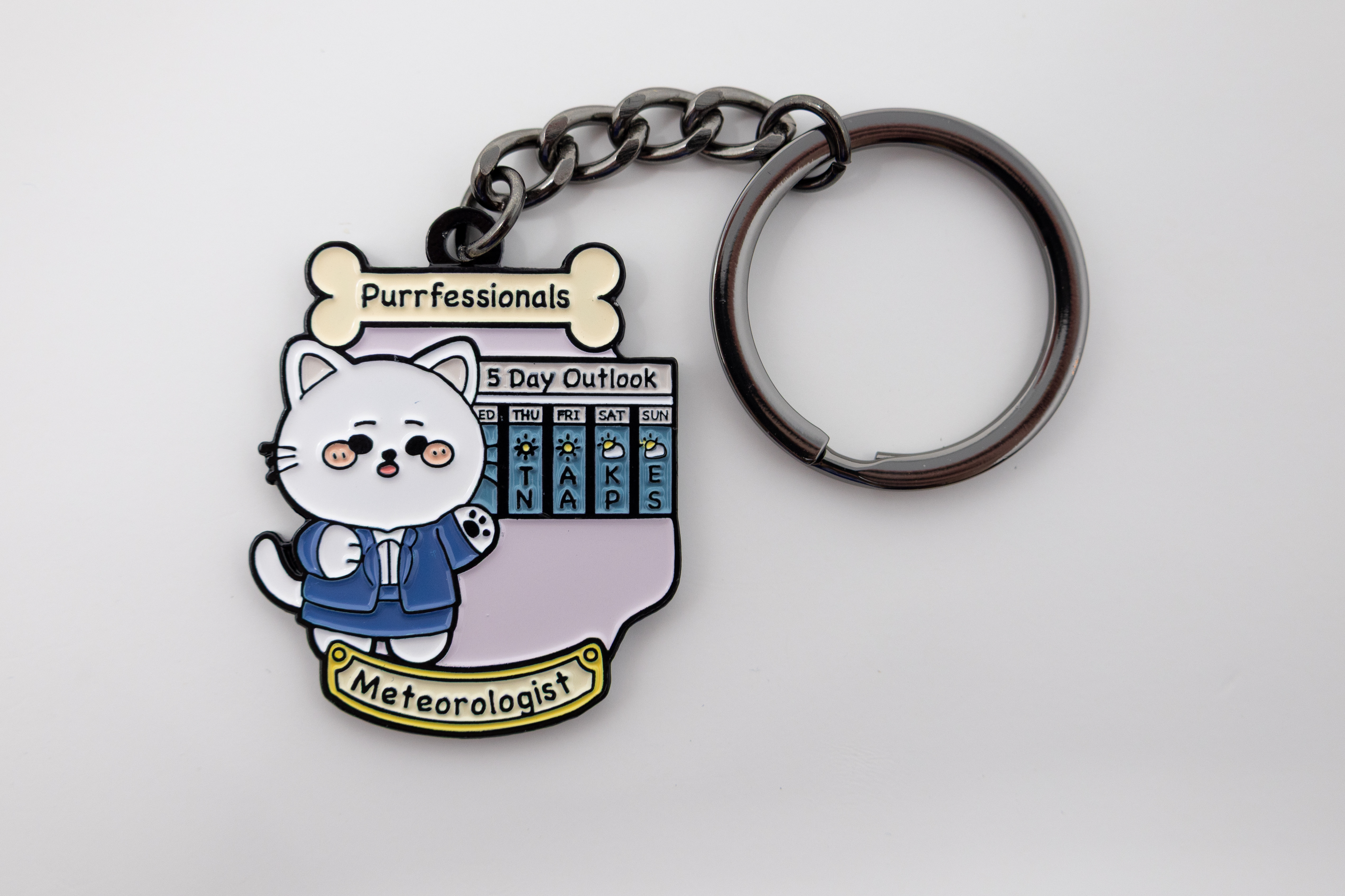 Purrfessionals 'Meteorologist'