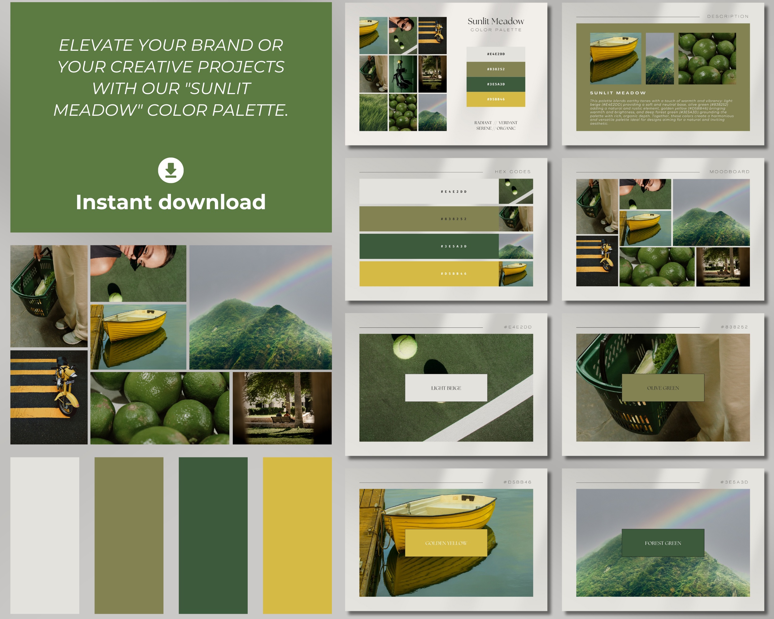 Sunlit Meadow Digital Color Palette